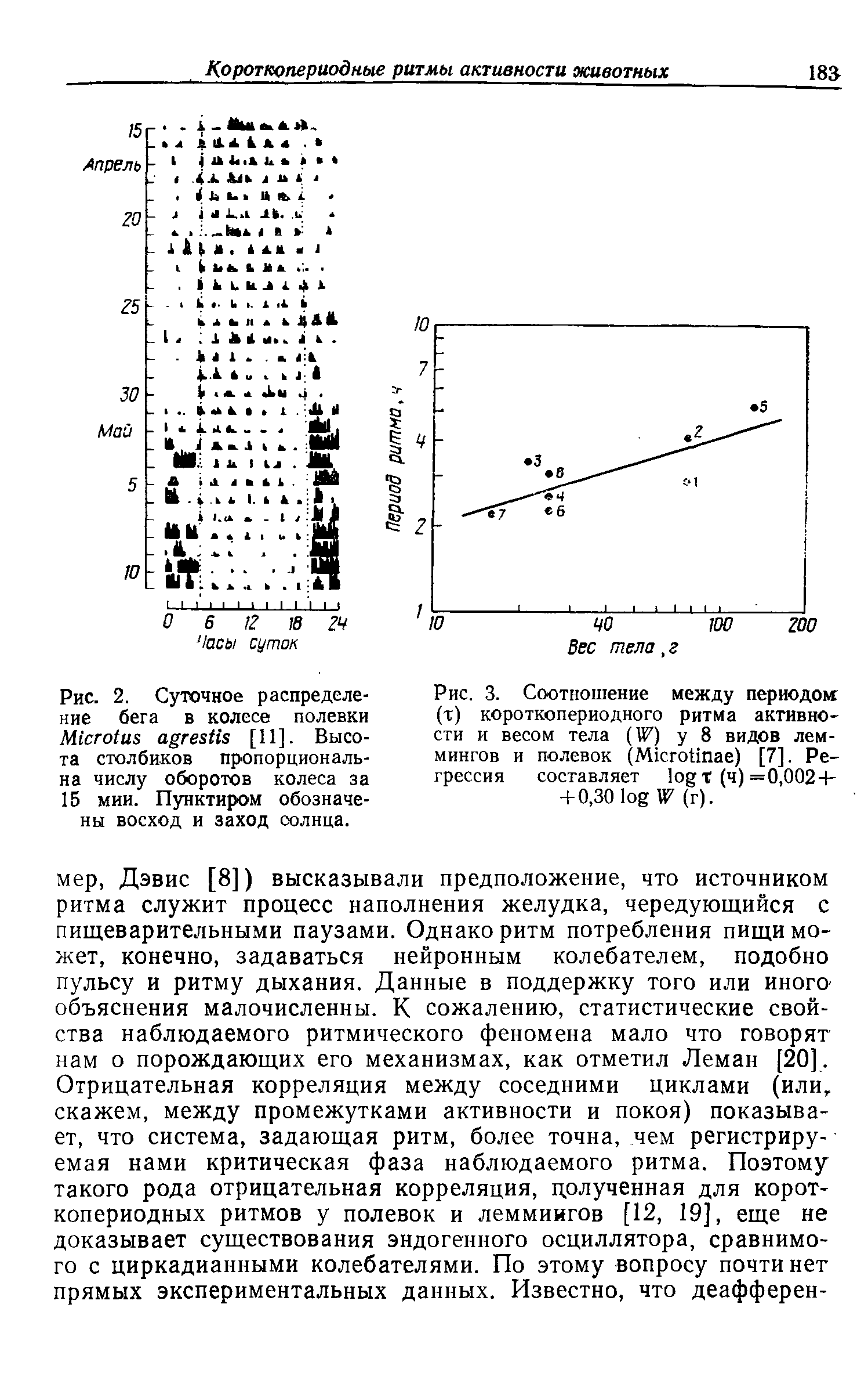 Рис. 3. Соотношение между периодом (т) короткопериодного ритма активности и весом тела (IF) у 8 видов леммингов и полевок (M ) [7]. Регрессия составляет т (ч) =0,002 + + 0,30 IF (г).