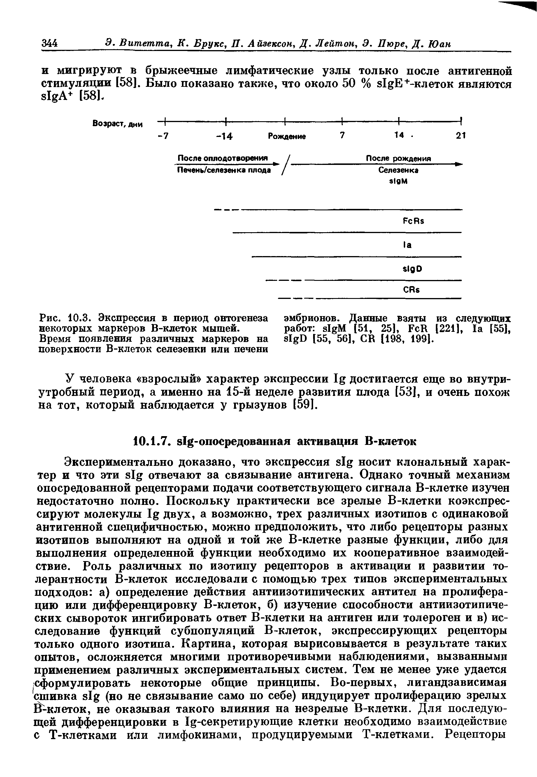 Рис. 10.3. Экспрессия в период онтогенеза эмбрионов. Данные взяты из следующих некоторых маркеров В-клеток мышей. работ M [51, 25], F R [221], [55],...