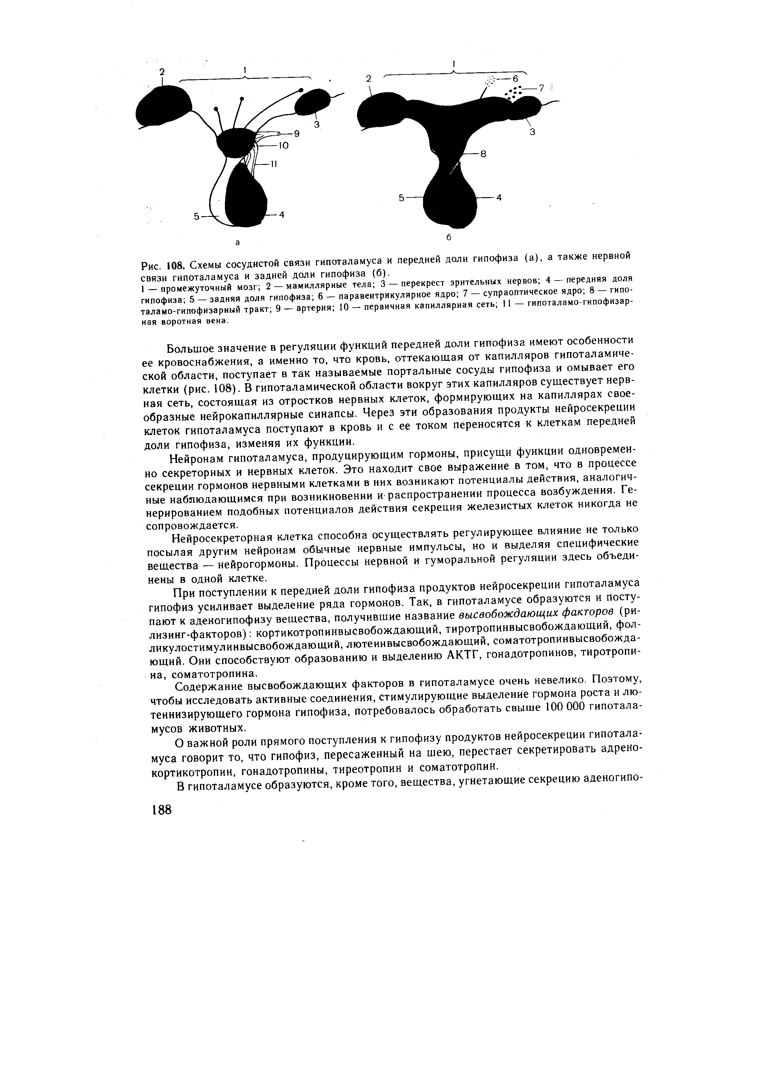 Рис. 108. Схемы сосудистой связи гипоталамуса и передней доли гипофиза (а), а также нервной связи гипоталамуса и задней доли гипофиза (б).