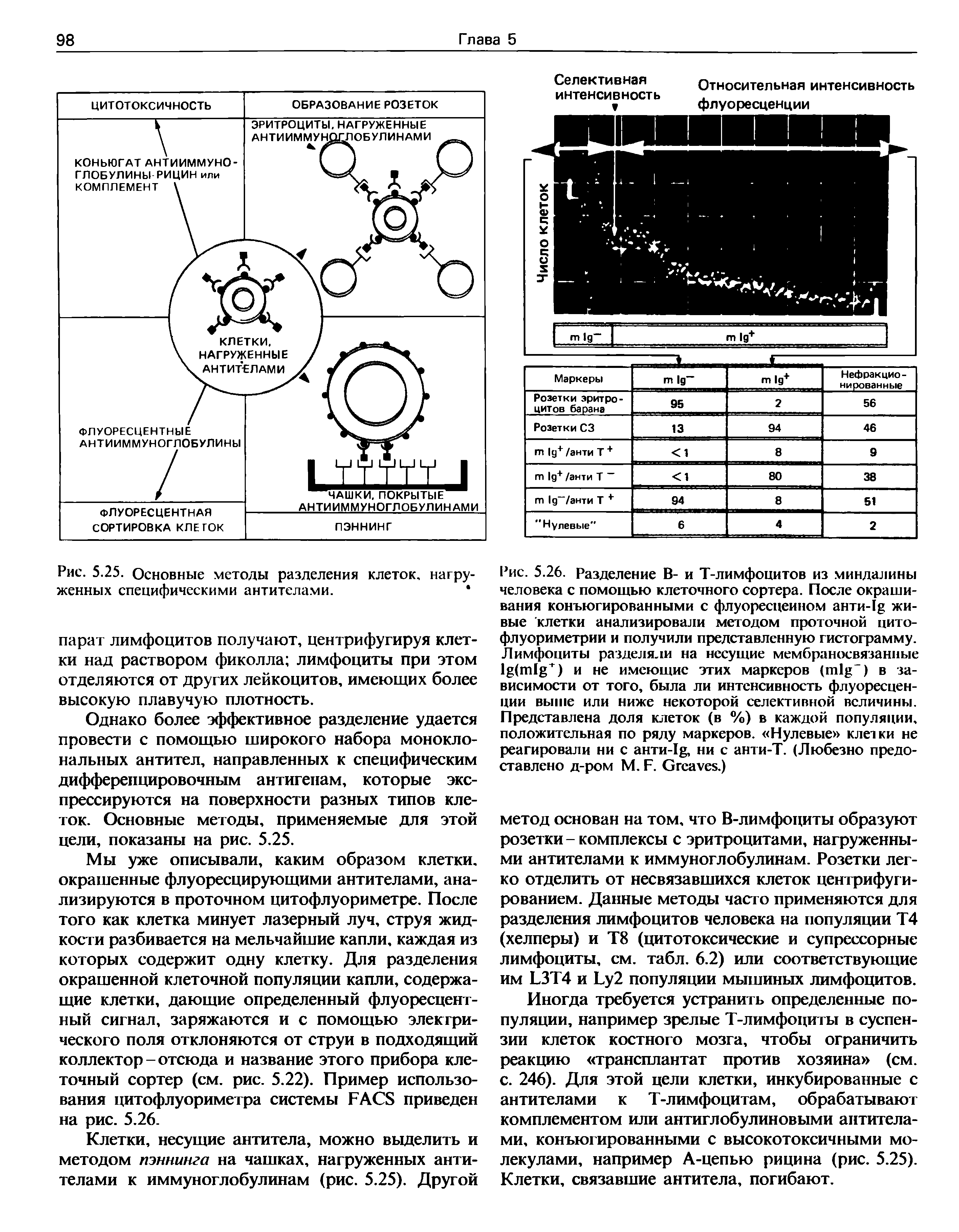 Рис. 5.25. Основные методы разделения клеток, нагруженных специфическими антителами. ...
