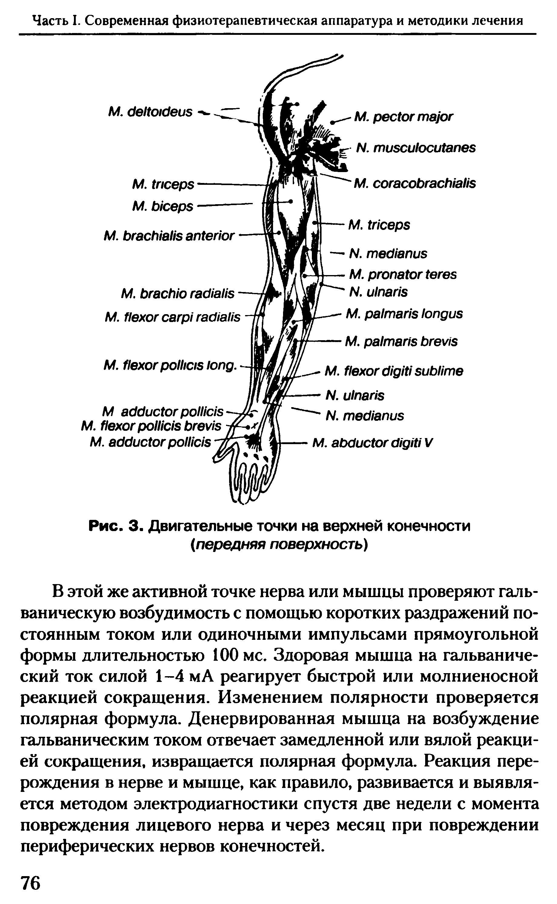 Рис. 3. Двигательные точки на верхней конечности (передняя поверхность)...