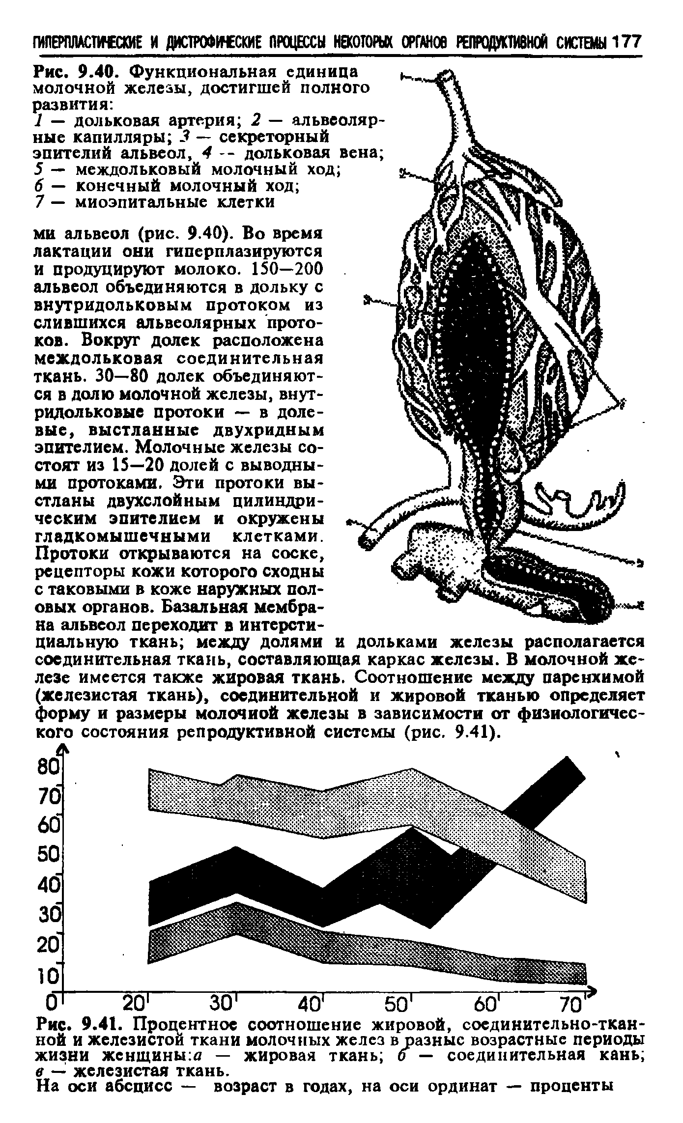 Рис. 9.41. Процентное соотношение жировой, соединительно-ткан-ноЙ и железистой ткани молочных желез в разные возрастные периоды жизни женщины — жировая ткань о — соединительная кань в — железистая ткань.