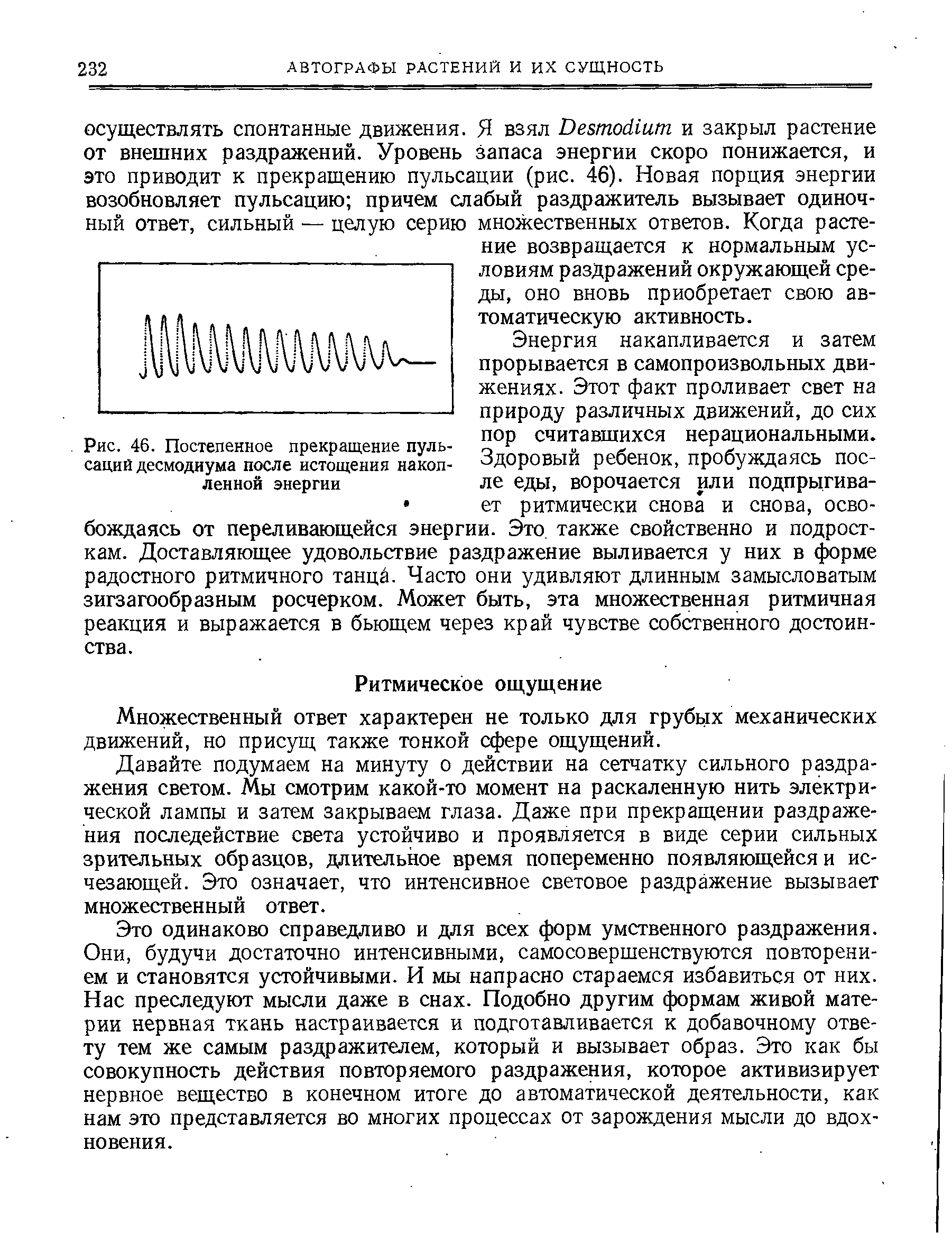 Рис. 46. Постепенное прекращение пульсаций десмодиума после истощения накоп-...