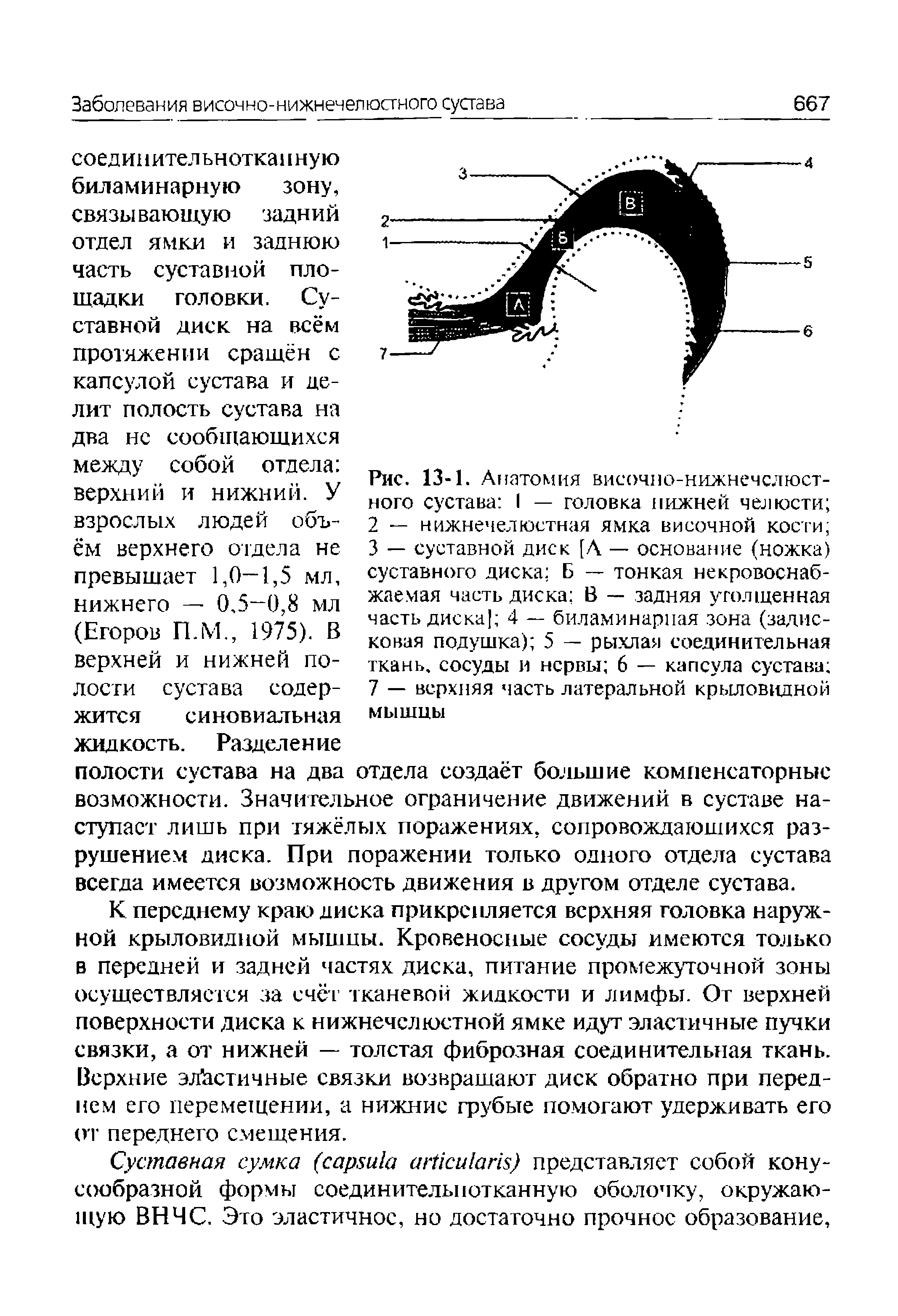 Рис. 13-1. Анатомия височно-нижнечелюстного сустава I — головка нижней челюсти ...