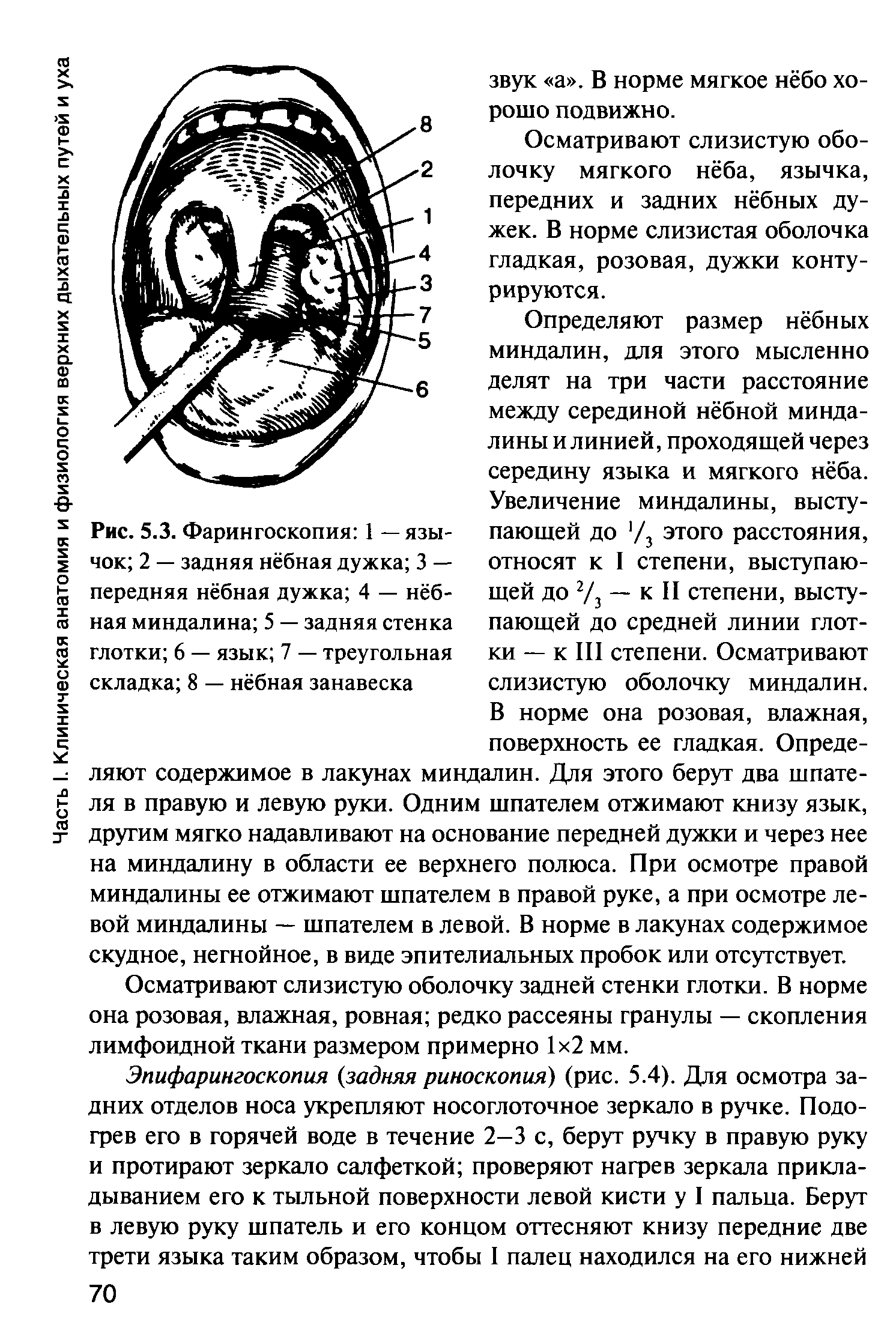 Рис. 5.3. Фарингоскопия 1 — язычок 2 — задняя нёбная дужка 3 — передняя нёбная дужка 4 — нёбная миндалина 5 — задняя стенка глотки 6 — язык 7 — треугольная складка 8 — нёбная занавеска...