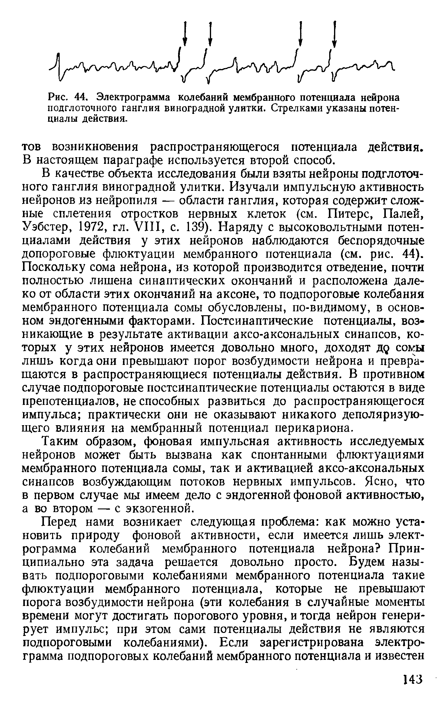 Рис. 44. Электрограмма колебаний мембранного потенциала нейрона подглоточного ганглия виноградной улитки. Стрелками указаны потенциалы действия.