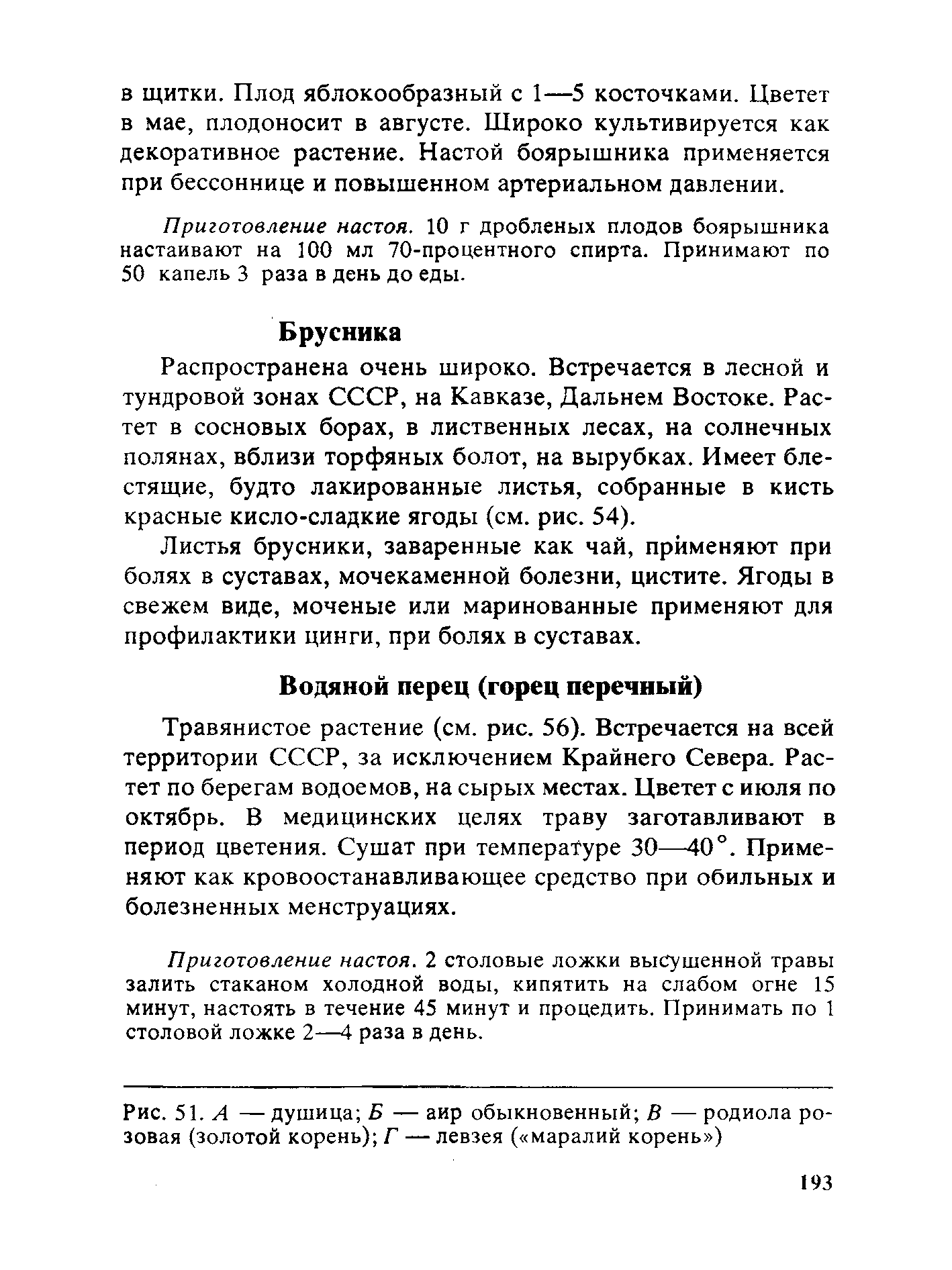 Рис. 51. Л —душица Б — аир обыкновенный В — родиола розовая (золотой корень) Г — левзея ( маралий корень )...