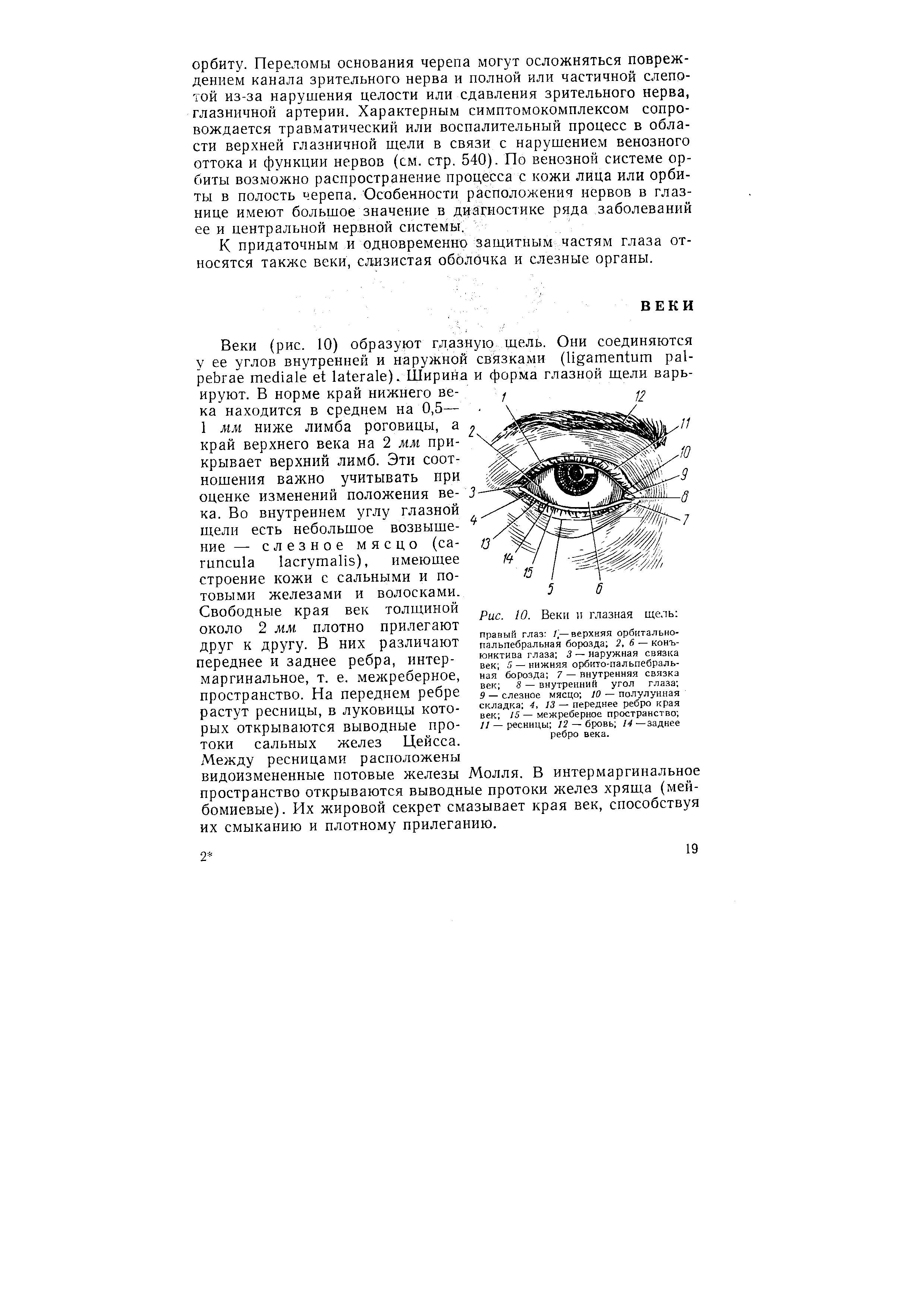 Рис. 10. Веки и глазная щель правый глаз 1,— верхняя орбитальнопальпебральная борозда 2, 6 — конъюнктива глаза 3 — наружная связка век 5 — нижняя орбито-пальпебральная борозда 7 — внутренняя связка век 8 — внутренний угол глаза 9 — слезное мясцо 10 — полулунная складка 4, 13 — переднее ребро края век 15 — межреберное пространство // — ресницы /2 — бровь 14— заднее ребро века.