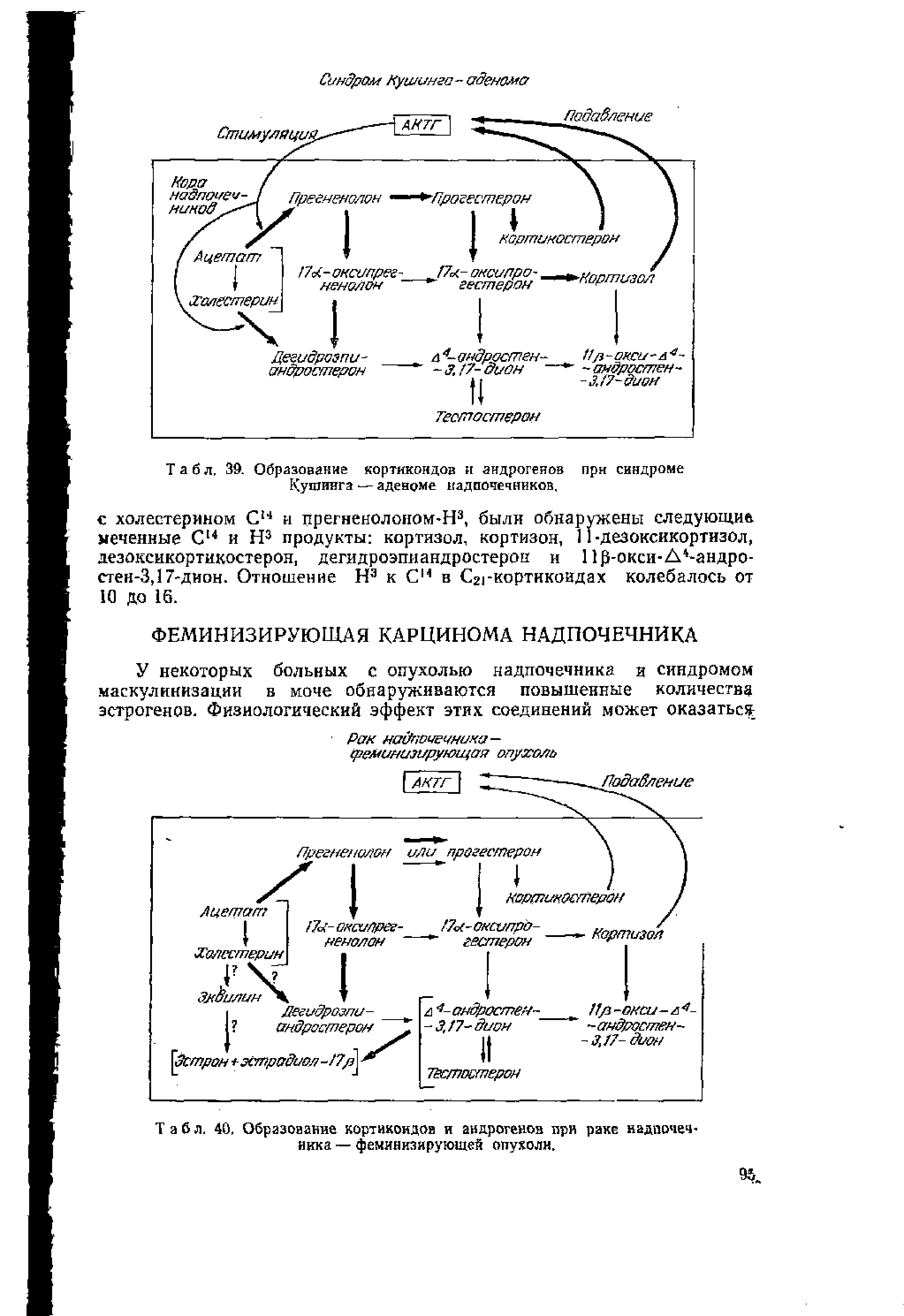 Табл. 40, Образование кортикоидов и андротенов при раке надпочечника — феминизирующей опухоли.