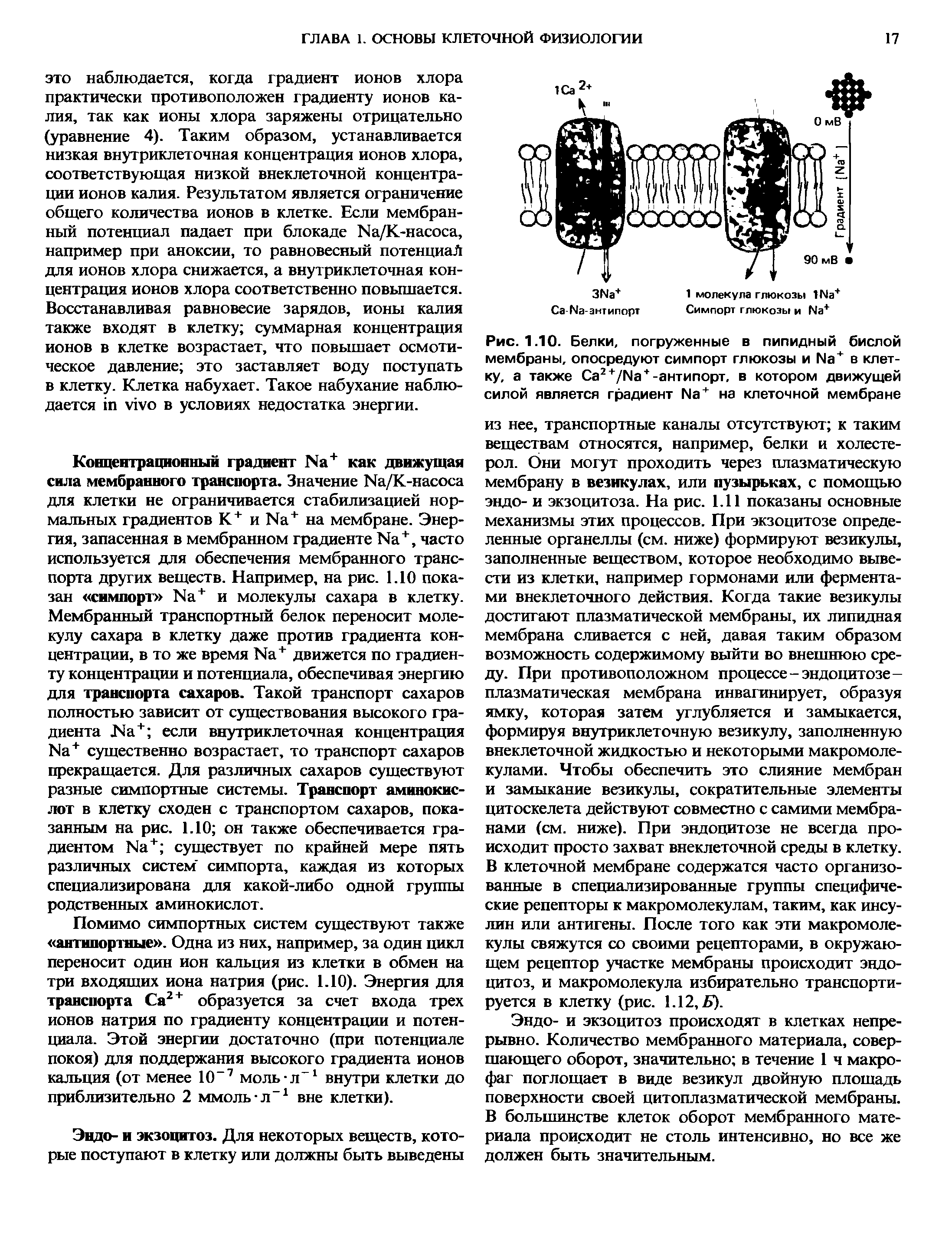 Рис. 1.10. Белки, погруженные в липидный бислой мембраны, опосредуют симпорт глюкозы и №+ в клетку, а также Са2+/Иа + -антипорт, в котором движущей силой является градиент №+ на клеточной мембране...