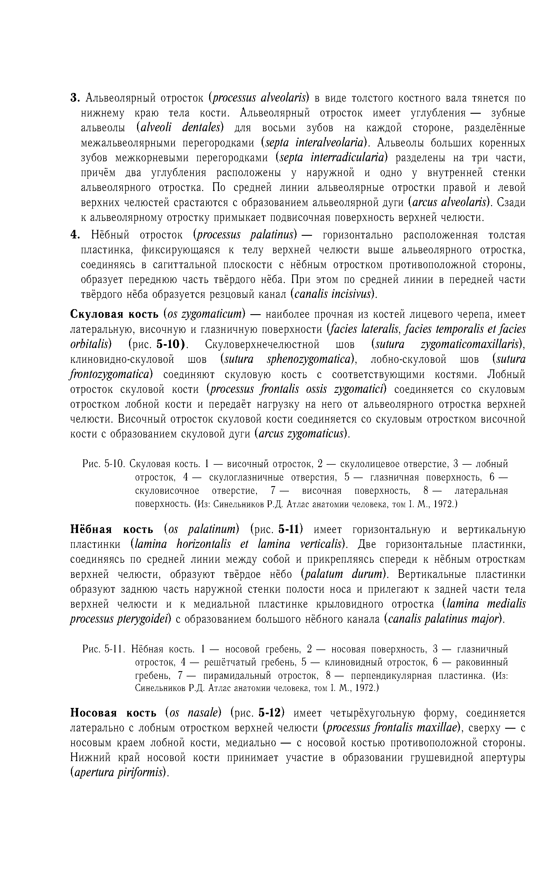 Рис. 5-11. Нёбная кость. 1 — носовой гребень, 2 — носовая поверхность, 3 — глазничный отросток, 4 — решётчатый гребень, 5 — клиновидный отросток, 6 — раковинный гребень, 7 — пирамидальный отросток, 8 — перпендикулярная пластинка. (Из Синельников Р.Д. Атлас анатомии человека, том I. М., 1972.)...