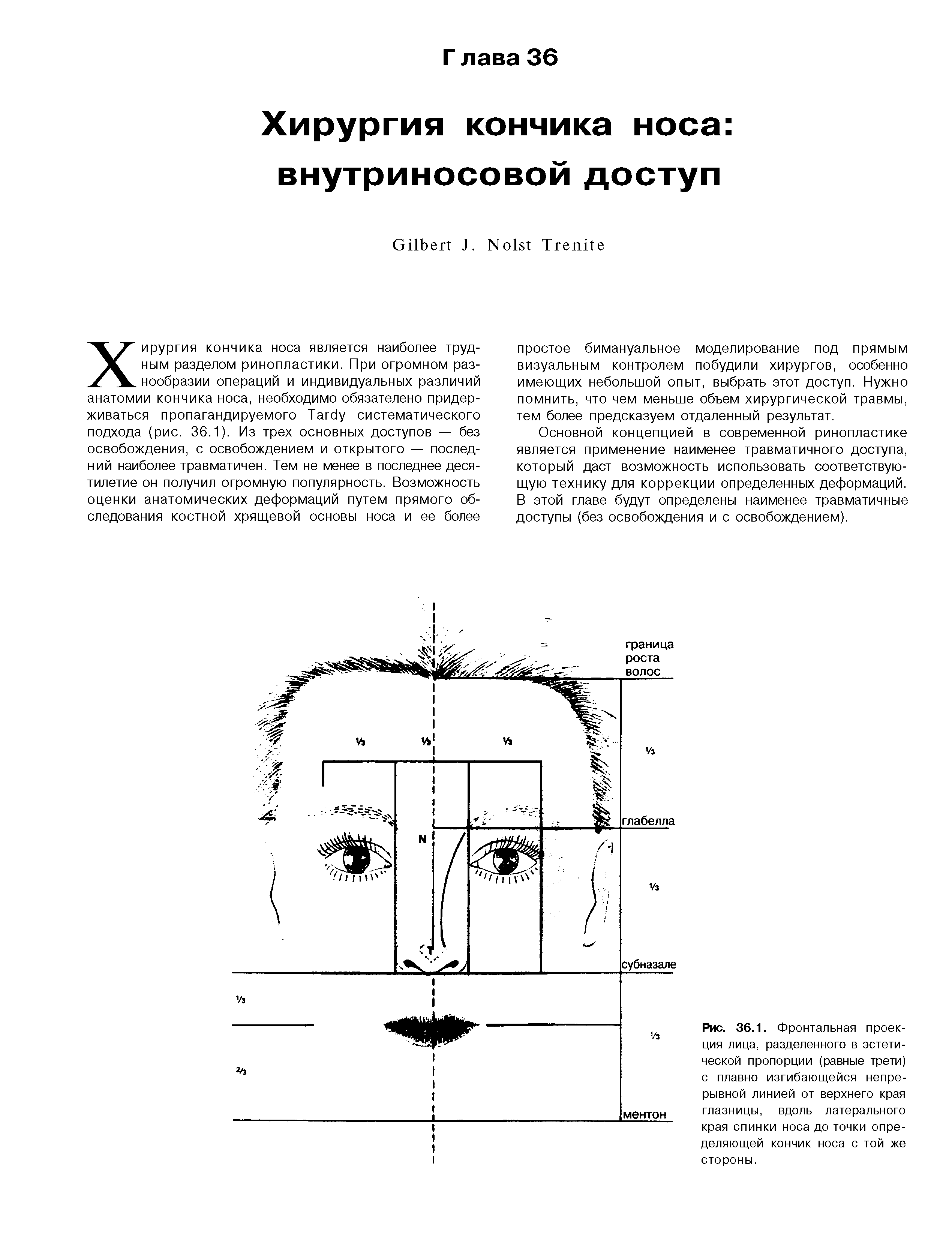 Рис. 36.1. Фронтальная проекция лица, разделенного в эстетической пропорции (равные трети) с плавно изгибающейся непрерывной линией от верхнего края глазницы, вдоль латерального края спинки носа до точки определяющей кончик носа с той же стороны.