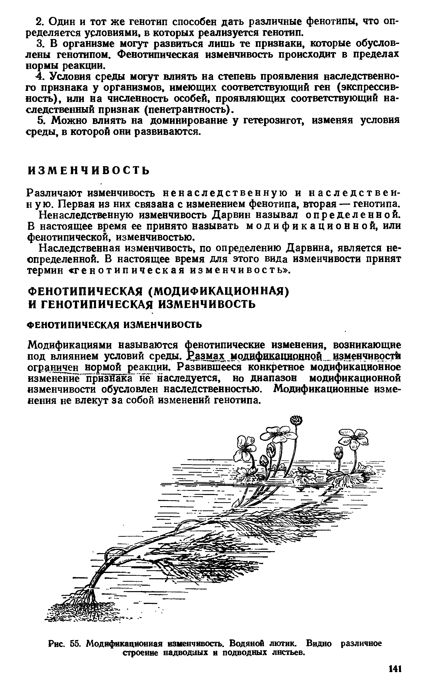 Рис. 55. Модификационная изменчивость. Водяной лютик. Видно различное строение надводных и подводных листьев.