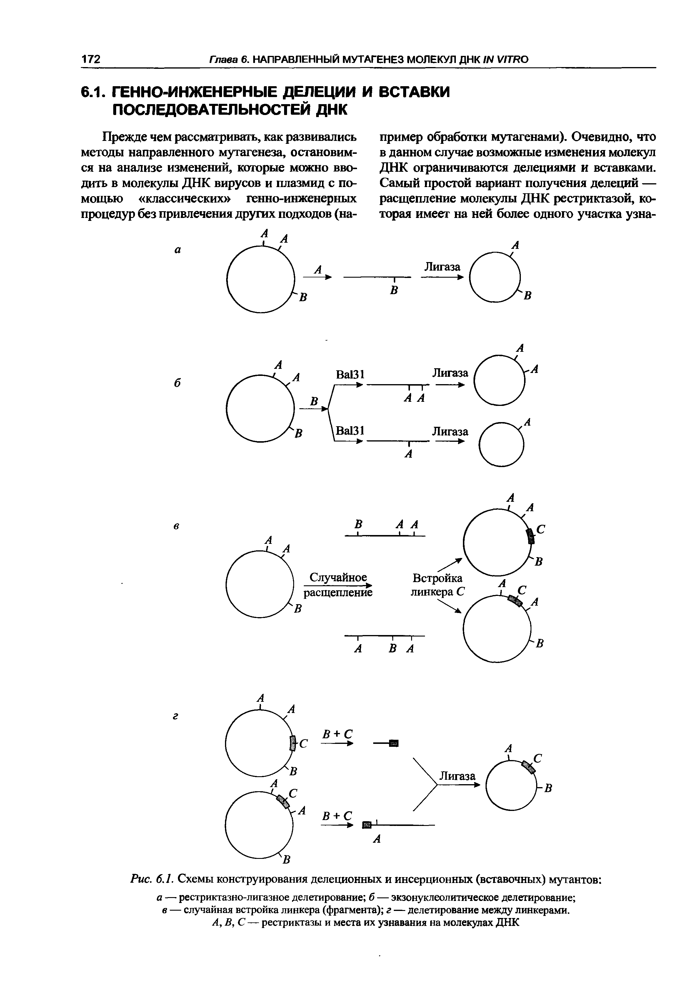 Рис. 6.1. Схемы конструирования делеционных и инсерционных (вставочных) мутантов а — рестриктазно-лигазное делегирование б — экзонуклеолитическое делегирование в — случайная встройка линкера (фрагмента) г — делегирование между линкерами.