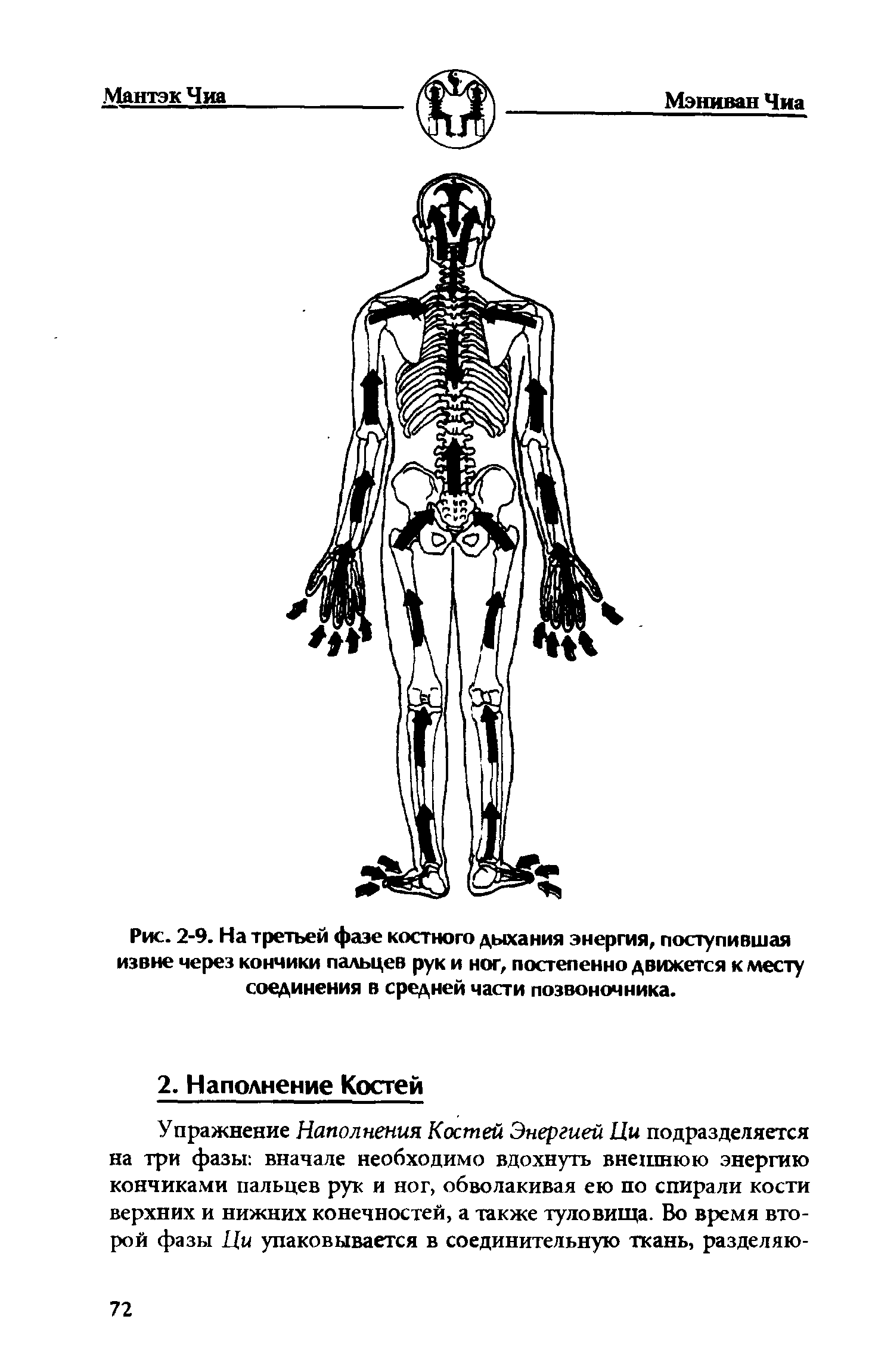 Рис. 2-9. На третьей фазе костного дыхания энергия, поступившая извне через кончики пальцев рук и ног, постепенно движется к месту соединения в средней части позвоночника.