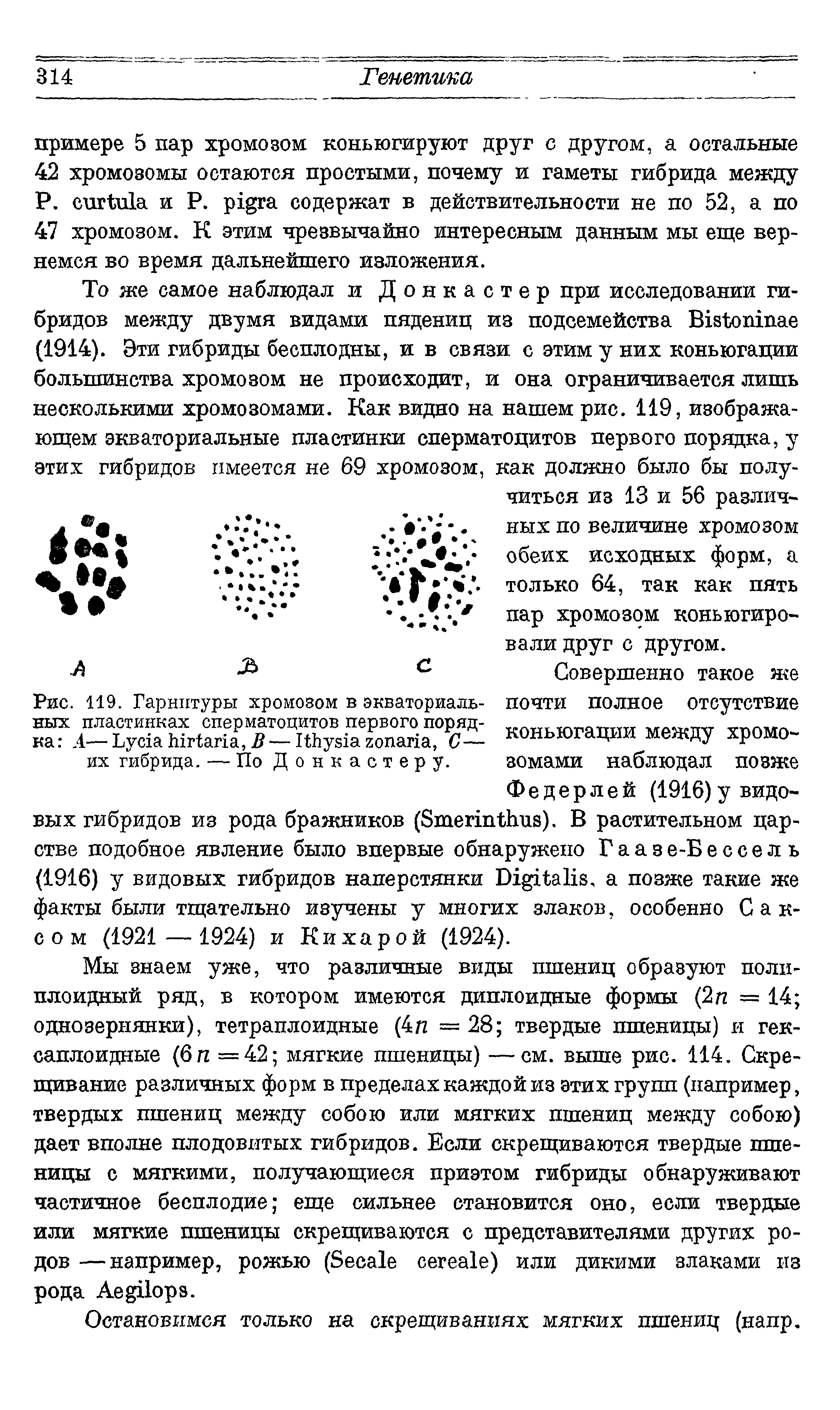 Рис. 119. Гарнитуры хромозом в экваториалы почти полное отсутствие них пластинках сперматоцитов первого поряд- кпиктогяпии ...