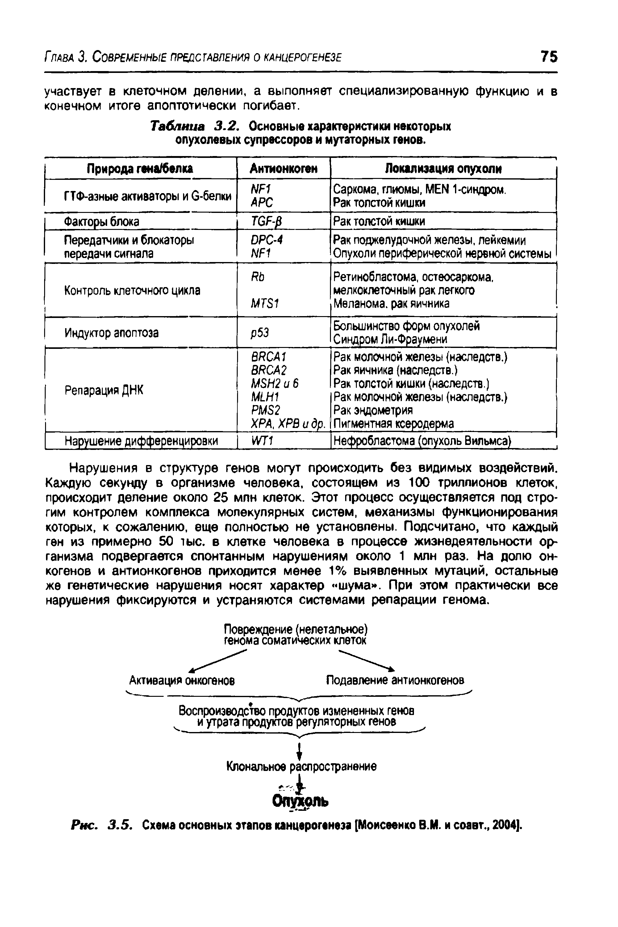 Рис. 3.5. Схема основных этапов канцерогенеза [Моисеенко В.М. и соавт., 2004].