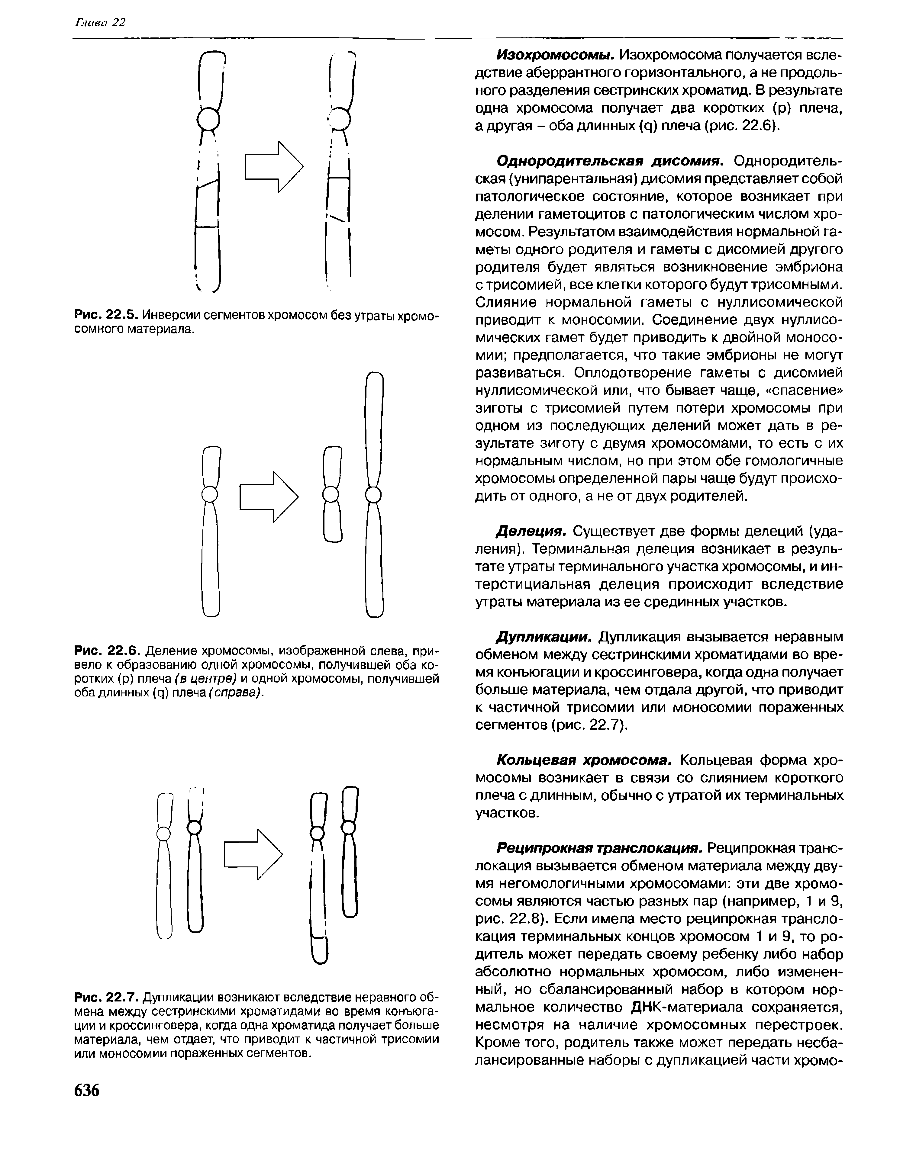 Рис. 22.7. Дупликации возникают вследствие неравного обмена между сестринскими хроматидами во время конъюгации и кроссинговера, когда одна хроматида получает больше материала, чем отдает, что приводит к частичной трисомии или моносомии пораженных сегментов.
