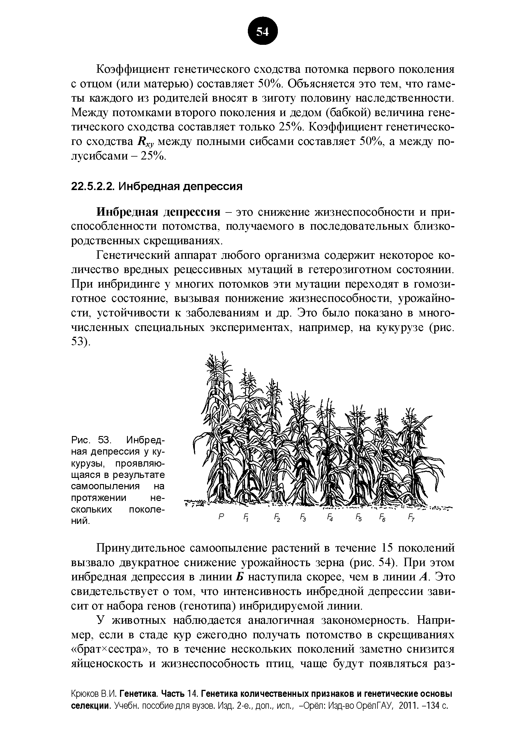 Рис. 53. Инбредная депрессия у кукурузы, проявляющаяся в результате самоопыления на протяжении нескольких поколений.