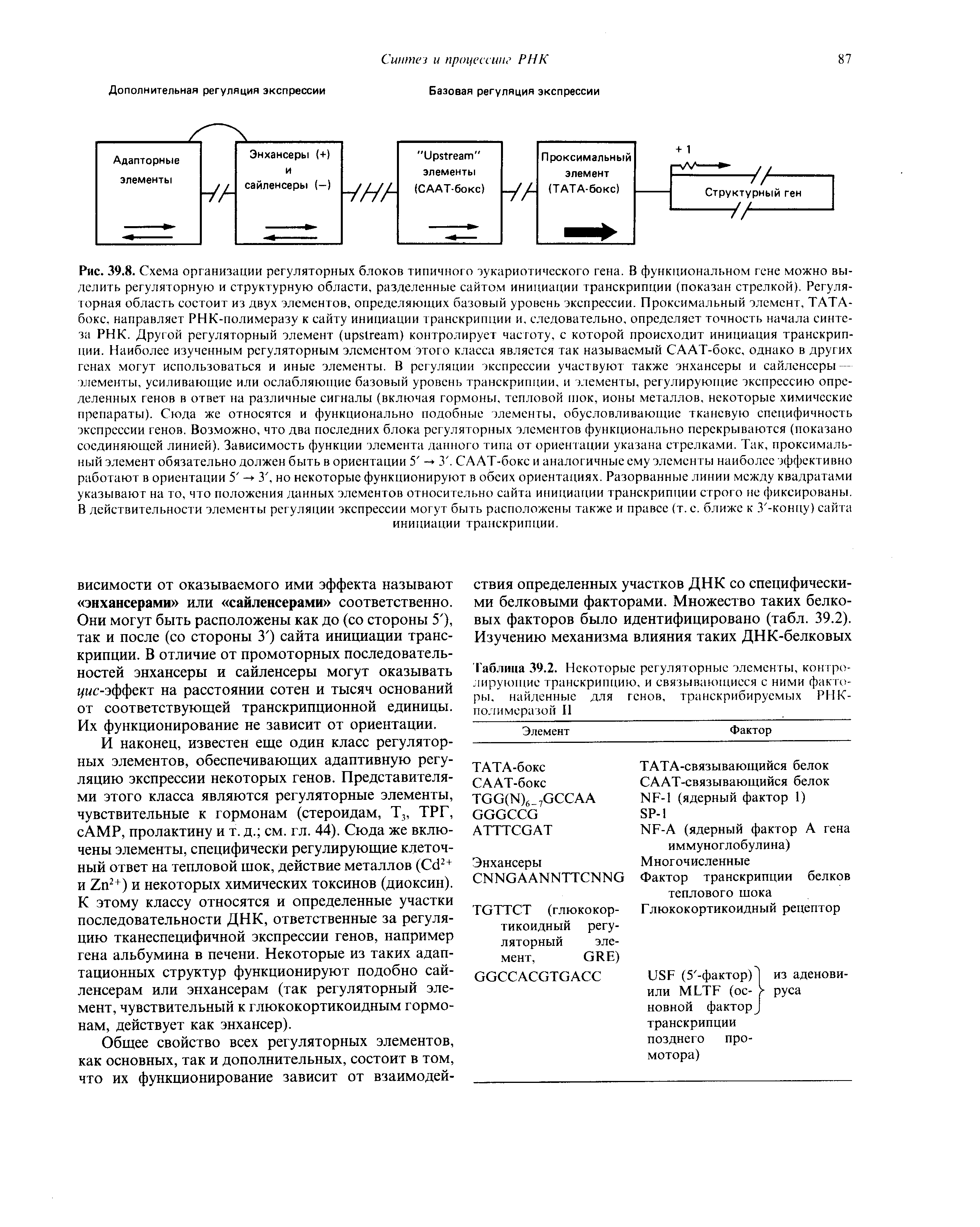 Таблица 39.2. Некоторые регуляторные элементы, контролирующие транскрипцию, и связывающиеся с ними факторы. найденные для генов, транскрибируемых РНК-полимеразой II...