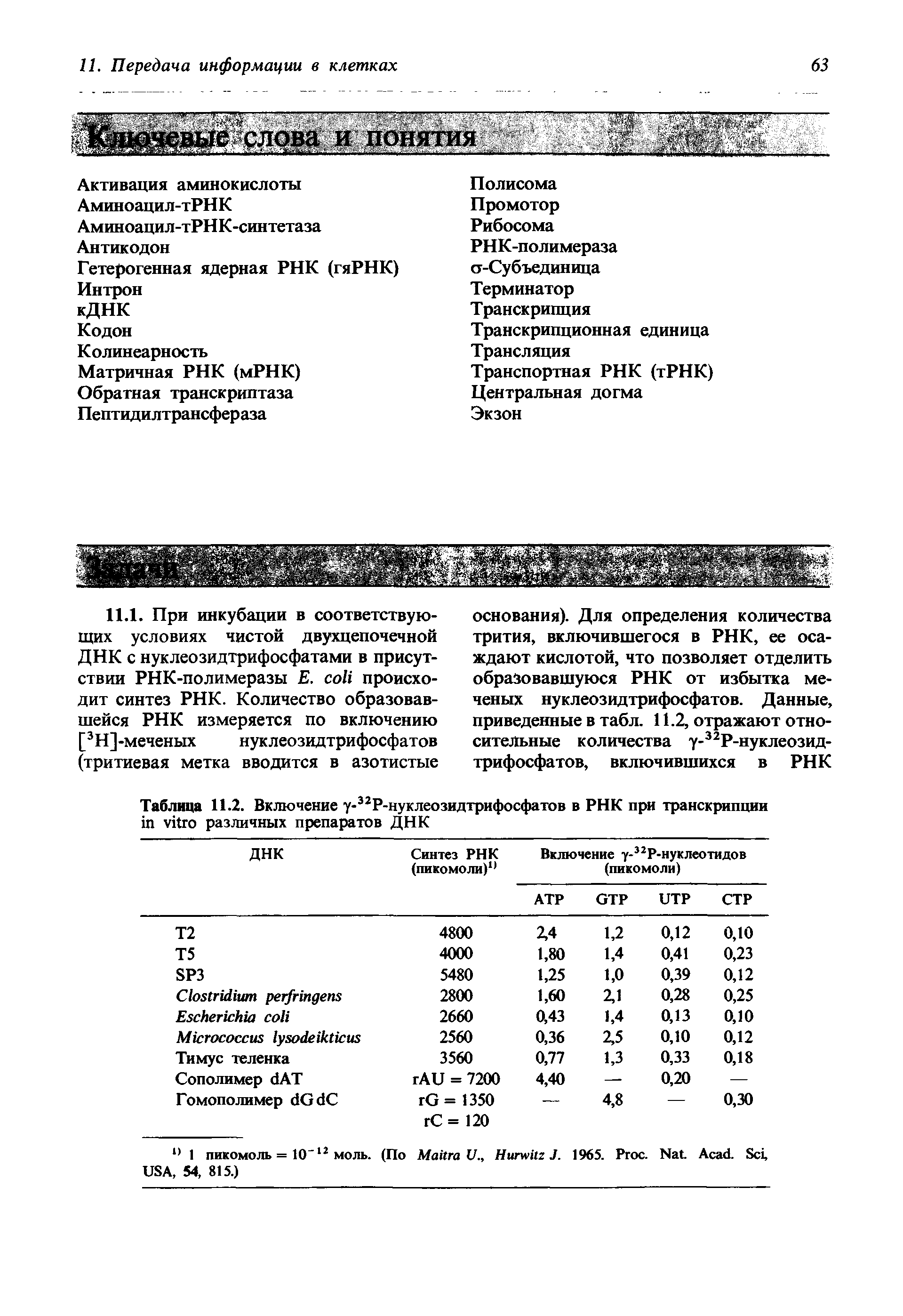 Таблица 11.2. Включение у-32Р-нуклеозидтрифосфатов в РНК при транскрипции различных препаратов ДНК...