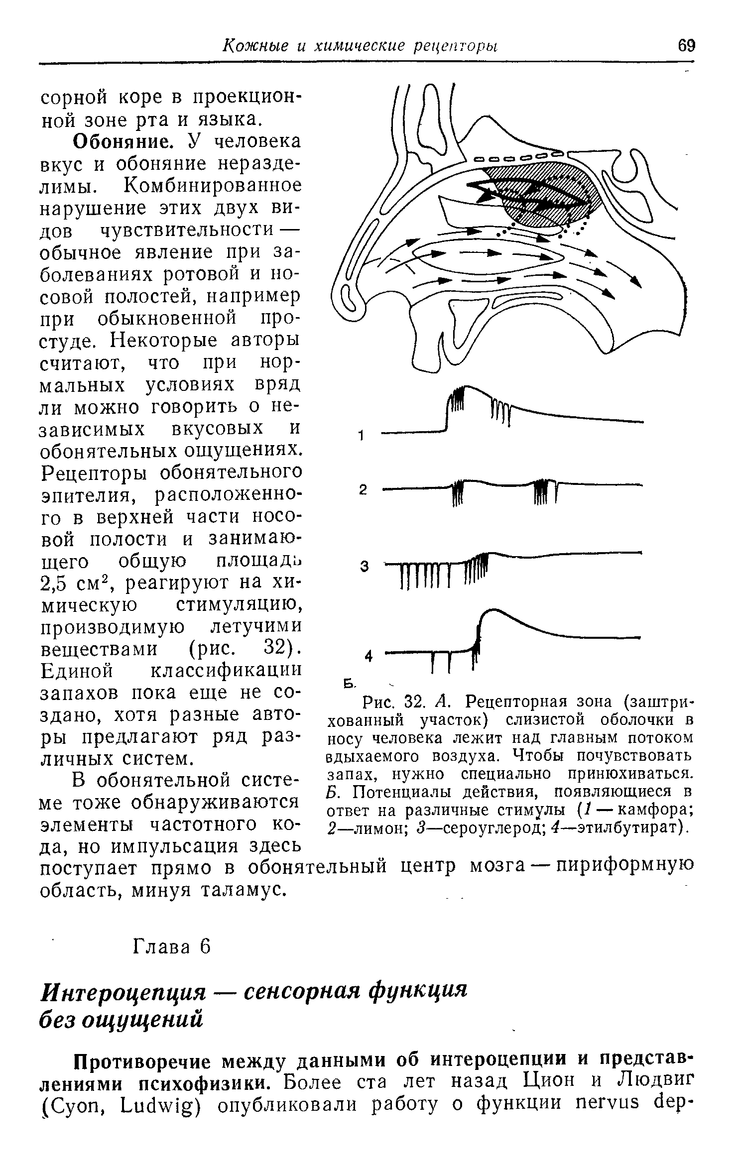 Рис. 32. А. Рецепторная зона (заштрихованный участок) слизистой оболочки в носу человека лежит над главным потоком вдыхаемого воздуха. Чтобы почувствовать запах, нужно специально принюхиваться. Б. Потенциалы действия, появляющиеся в ответ на различные стимулы (1 — камфора 2—лимон 3—сероуглерод 4—этилбутират).