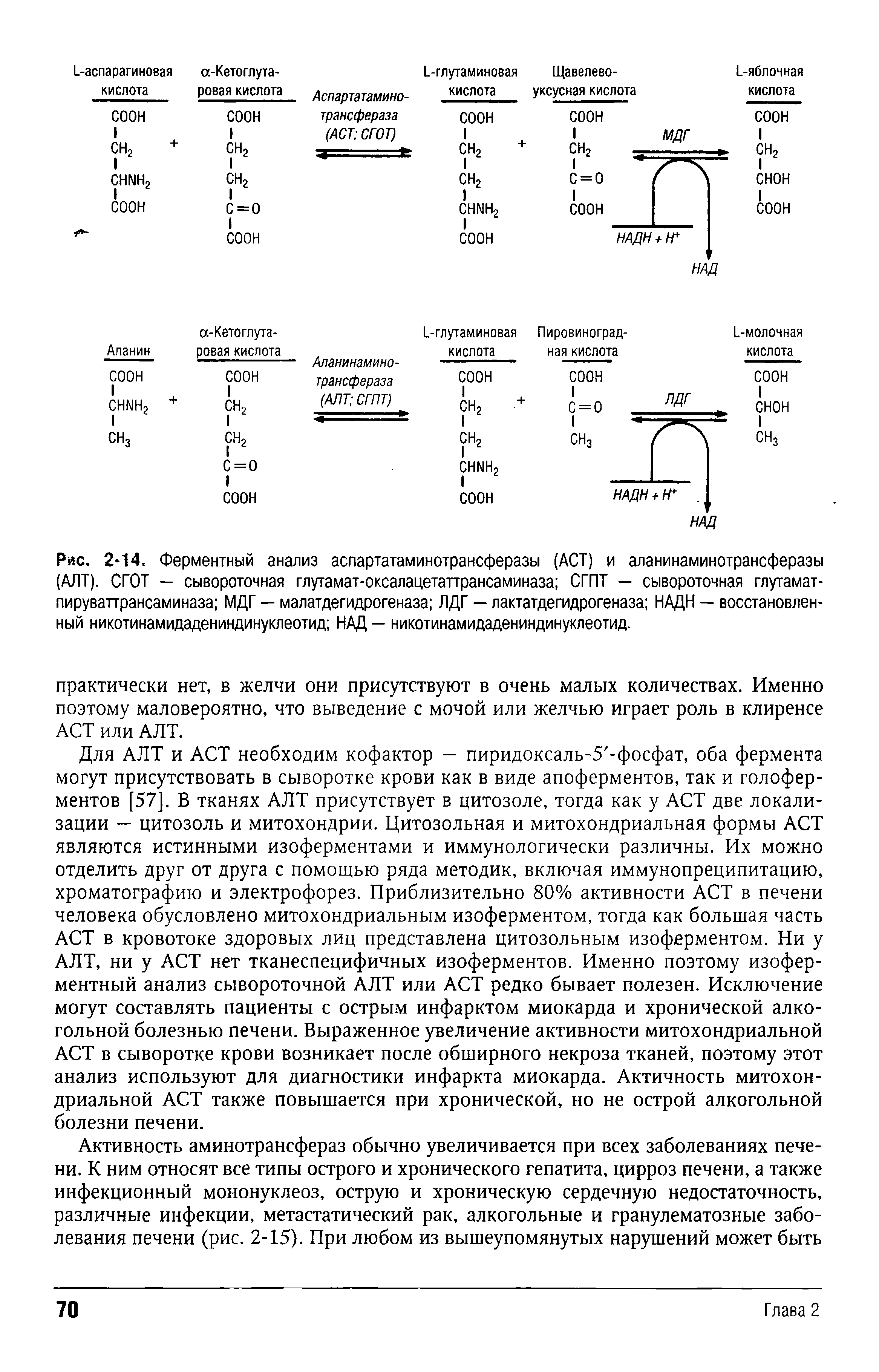 Рис. 2-14. Ферментный анализ аспартатаминотрансферазы (ACT) и аланинаминотрансферазы (АЛТ). СГОТ — сывороточная глутамат-оксалацетаттрансаминаза СГПТ — сывороточная глутамат-пируваттрансаминаза МДГ — малатдегидрогеназа ЛДГ — лактатдегидрогеназа НАДН — восстановленный никотинамидадениндинуклеотид НАД — никотинамидадениндинуклеотид.