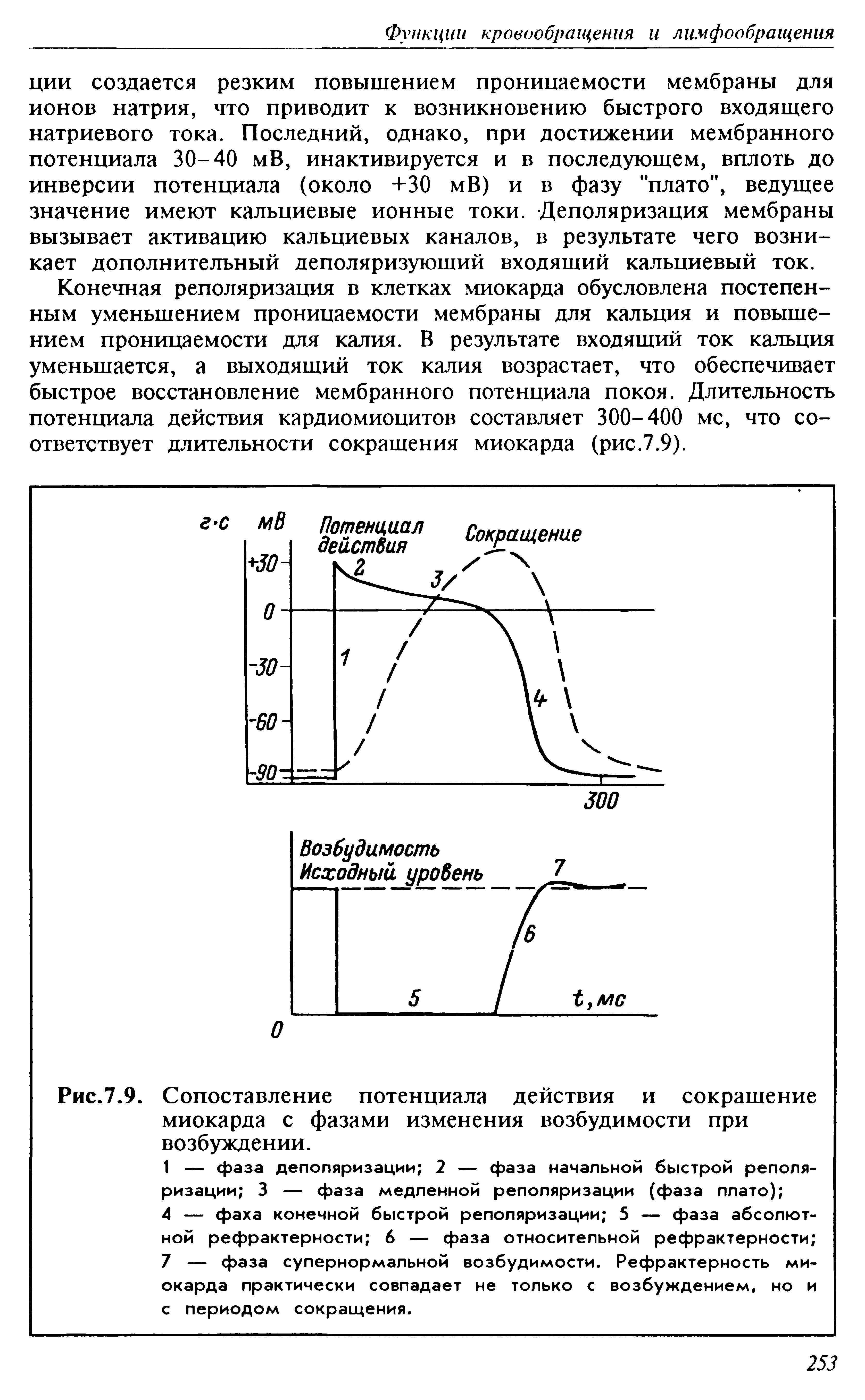 Рис.7.9. Сопоставление потенциала действия и сокращение миокарда с фазами изменения возбудимости при возбуждении.