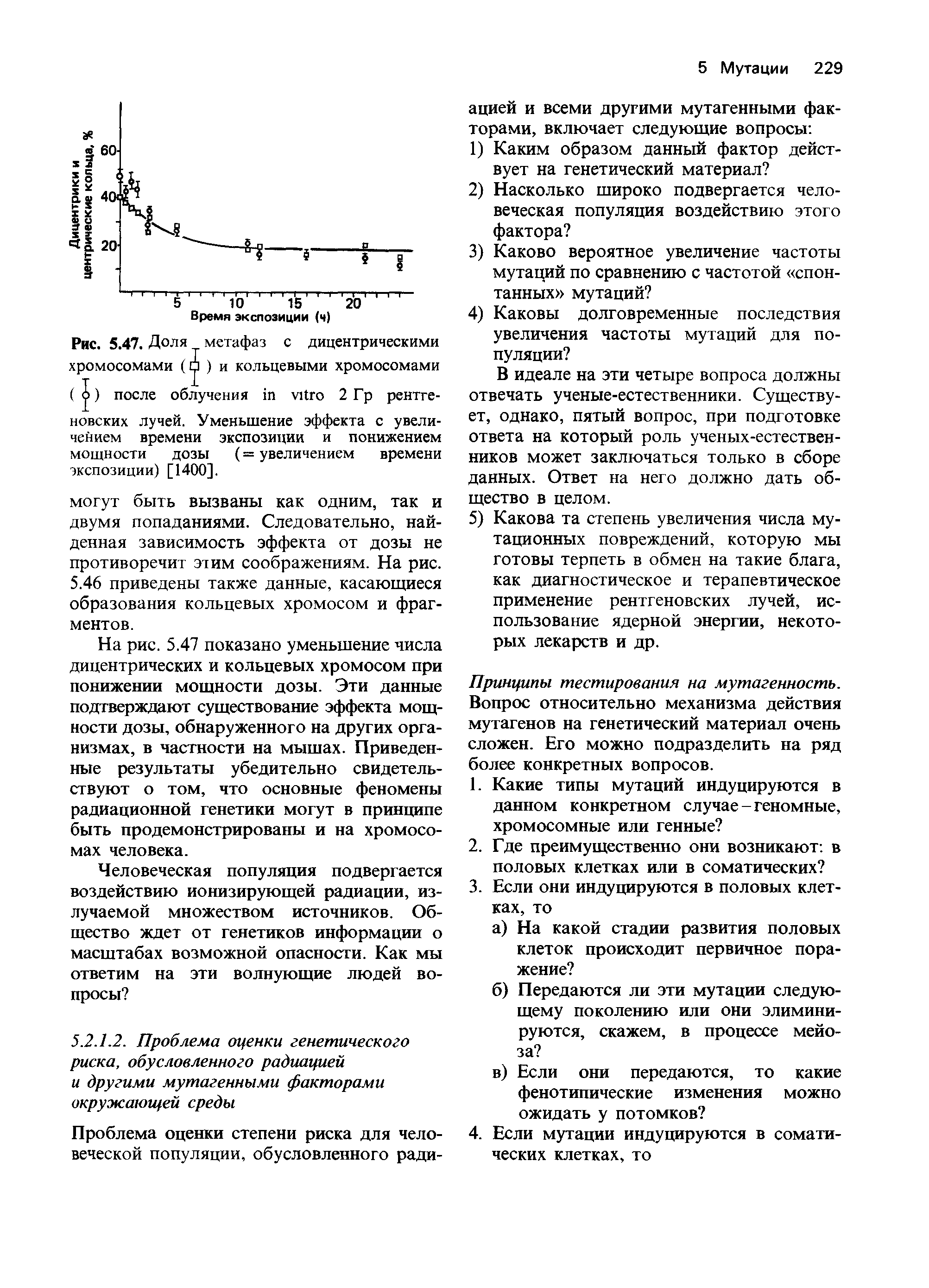 Рис. 5.47. Доля метафаз с дицентрическими хромосомами ( ) и кольцевыми хромосомами ( ) после облучения 2 Гр рентге-...