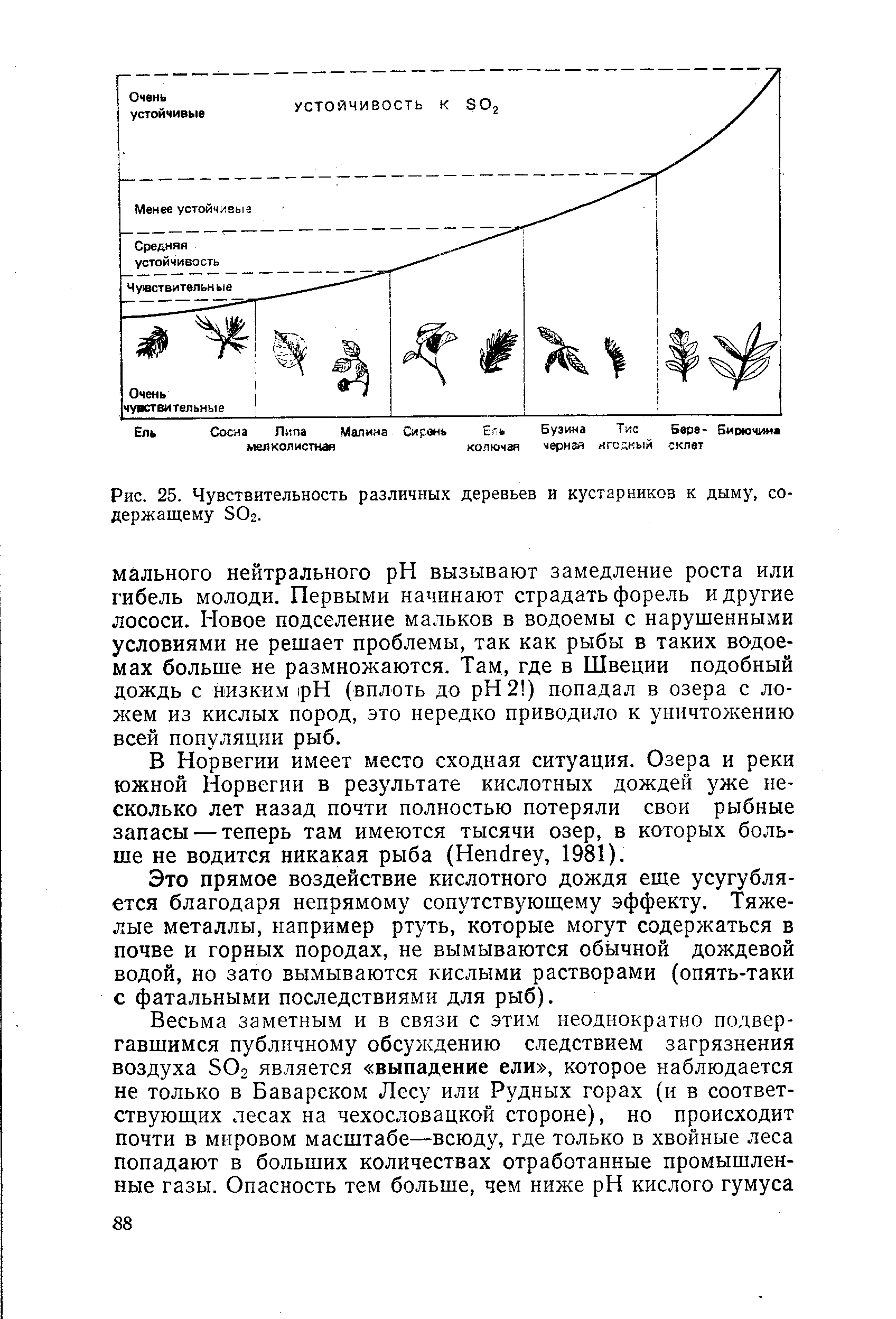 Рис. 25. Чувствительность различных деревьев и кустарников к дыму, со-держащему БОг.