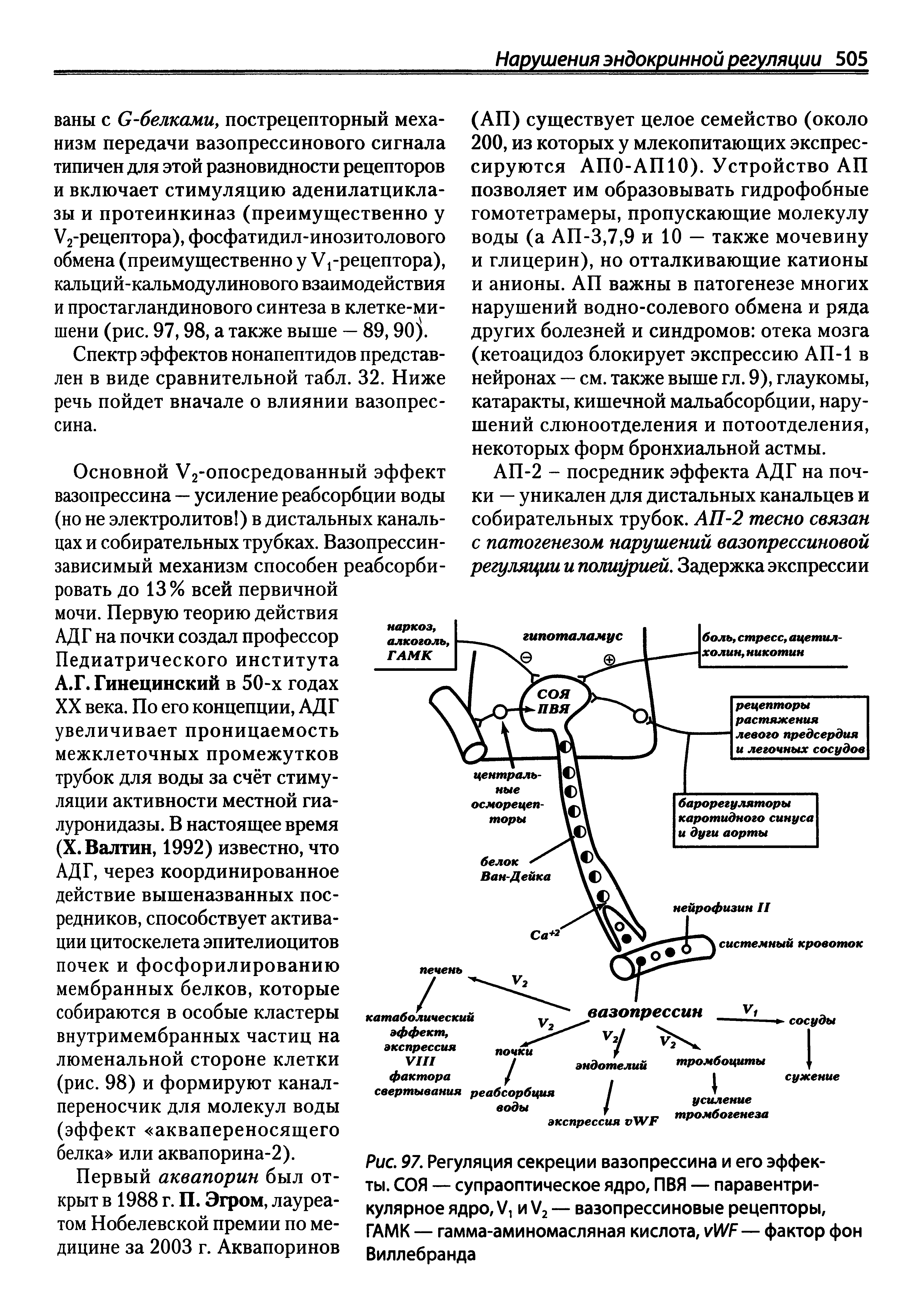 Рис. 97. Регуляция секреции вазопрессина и его эффекты. СОЯ — супраоптическое ядро, ПВЯ — паравентри-кулярное ядро, V, и У2 — вазопрессиновые рецепторы, ГАМК — гамма-аминомасляная кислота, И/ИГ — фактор фон Виллебранда...