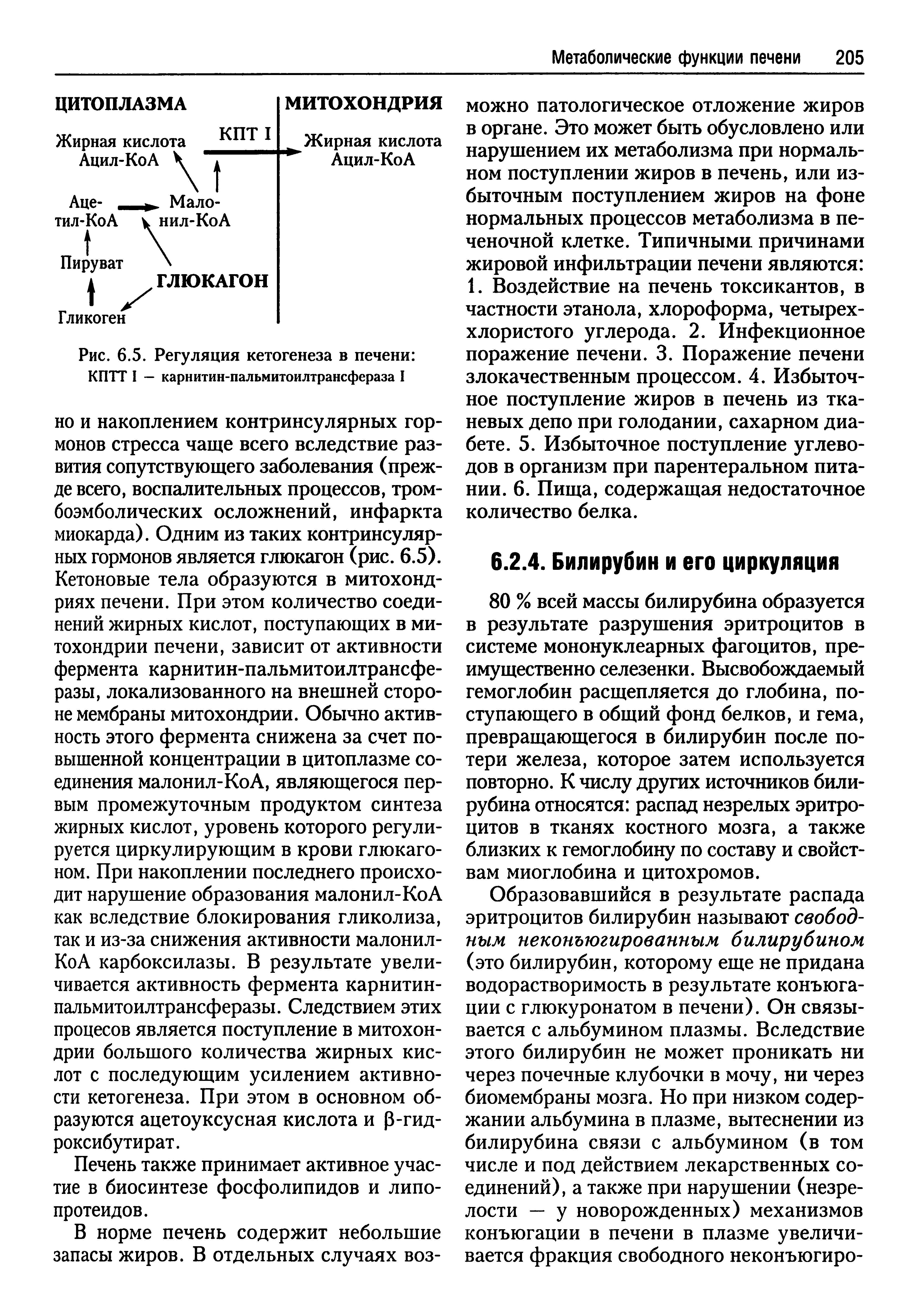 Рис. 6.5. Регуляция кетогенеза в печени КПТТ I — карнитин-пальмитоилтрансфераза I...