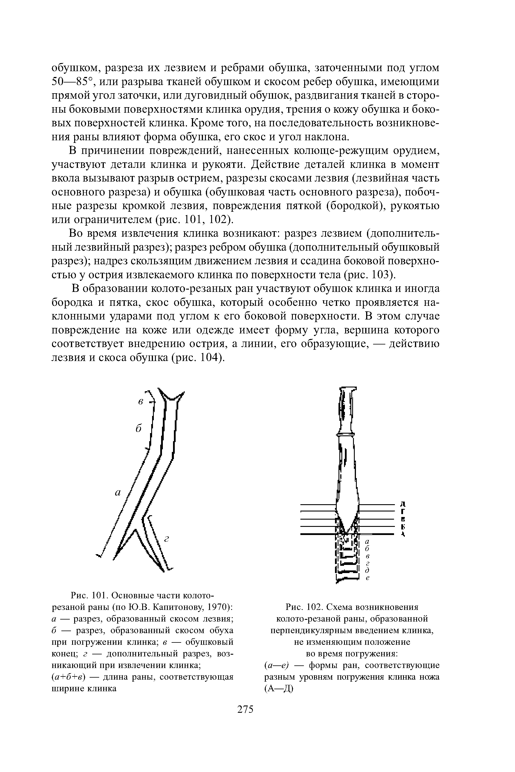 Рис. 101. Основные части колоторезаной раны (по Ю.В. Капитонову, 1970) а — разрез, образованный скосом лезвия б — разрез, образованный скосом обуха при погружении клинка в — обушковый конец г — дополнительный разрез, возникающий при извлечении клинка ...