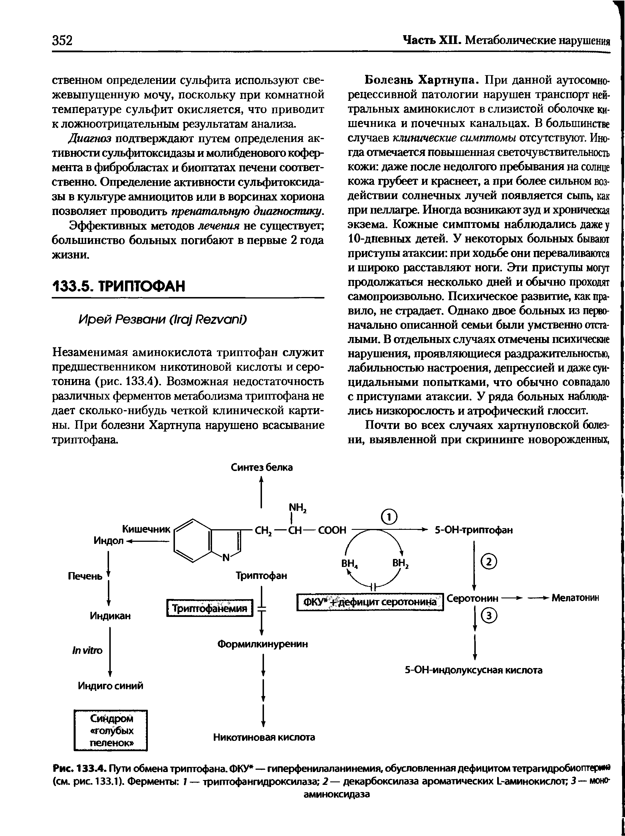 Рис. 133 Л. Пути обмена триптофана. ФКУ — гиперфенилаланинемия, обусловленная дефицитом тетрагмдробиоптерина (см. рис. 133.1). Ферменты 1 — триптофангидроксилаза 2— декарбоксилаза ароматических Ь-аминокислот 3 — моно-аминоксидаза...