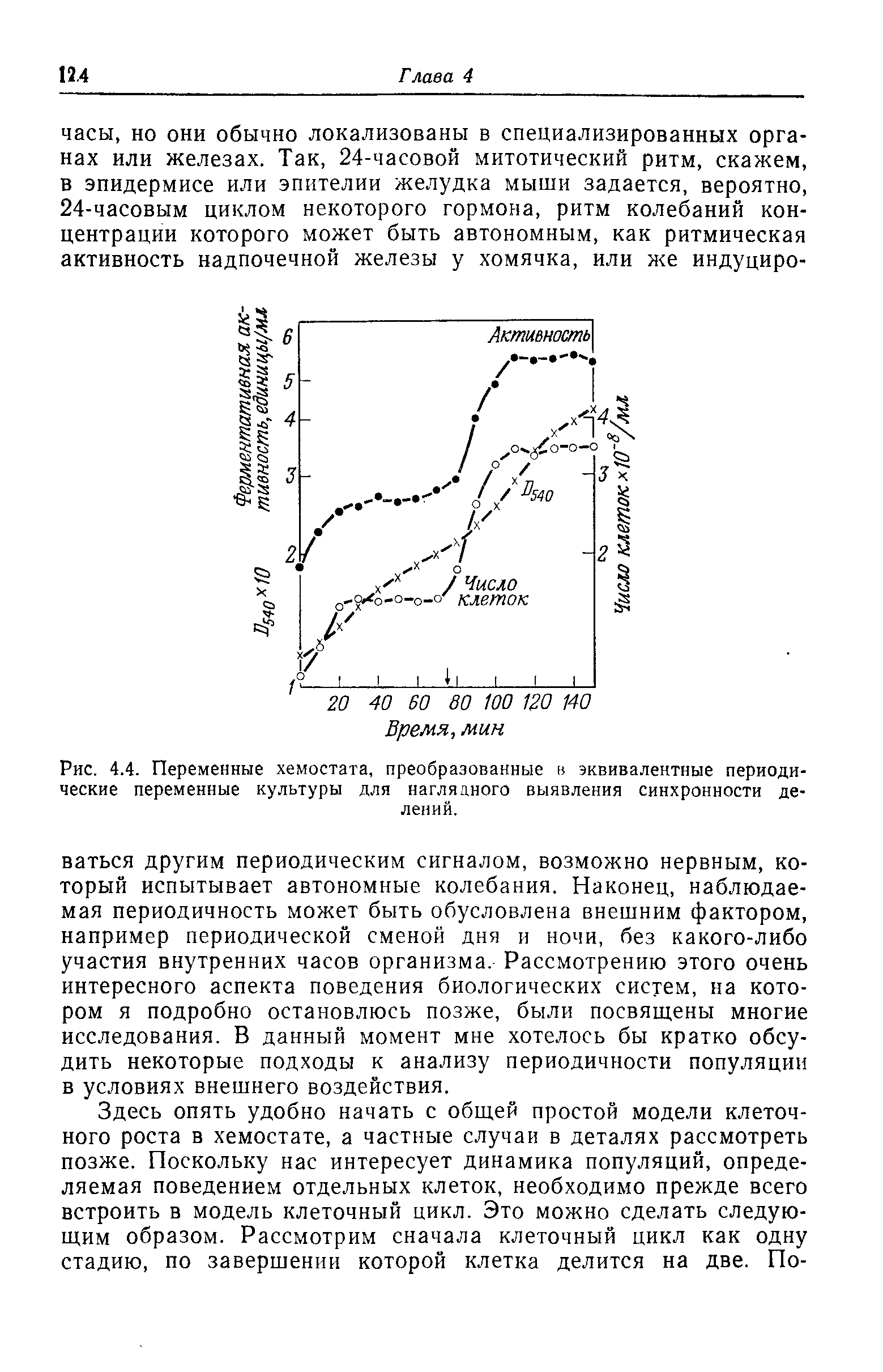 Рис. 4.4. Переменные хемостата, преобразованные в эквивалентные периодические переменные культуры для наглядного выявления синхронности делений.