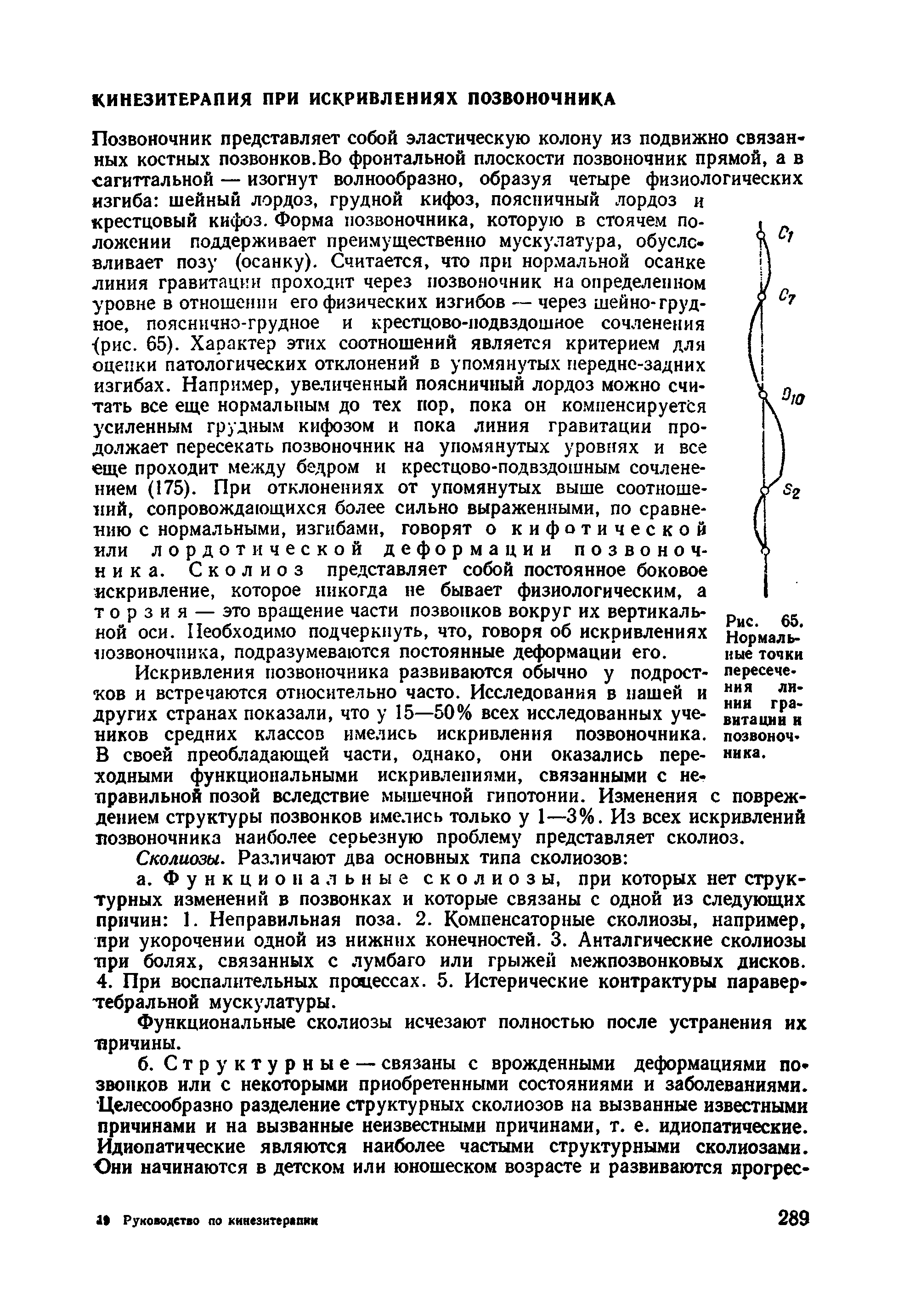 Рис. 65. Нормальные точки пересечения линии гравитации и позвоночника.