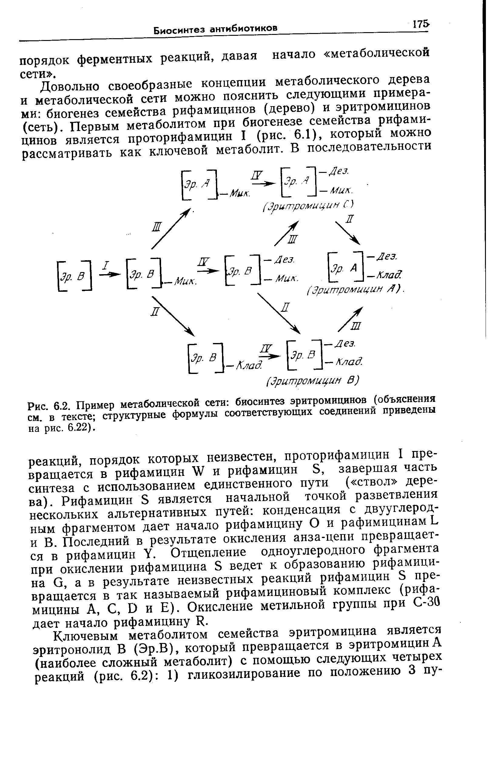 Рис. 6.2. Пример метаболической сети биосинтез эритромицинов (объяснения см. в тексте структурные формулы соответствующих соединений приведены на рис. 6.22).