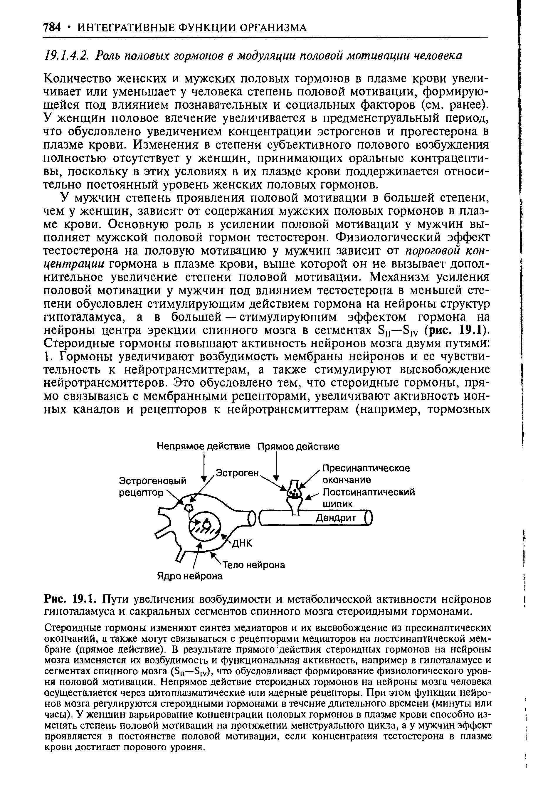 Рис. 19.1. Пути увеличения возбудимости и метаболической активности нейронов гипоталамуса и сакральных сегментов спинного мозга стероидными гормонами.