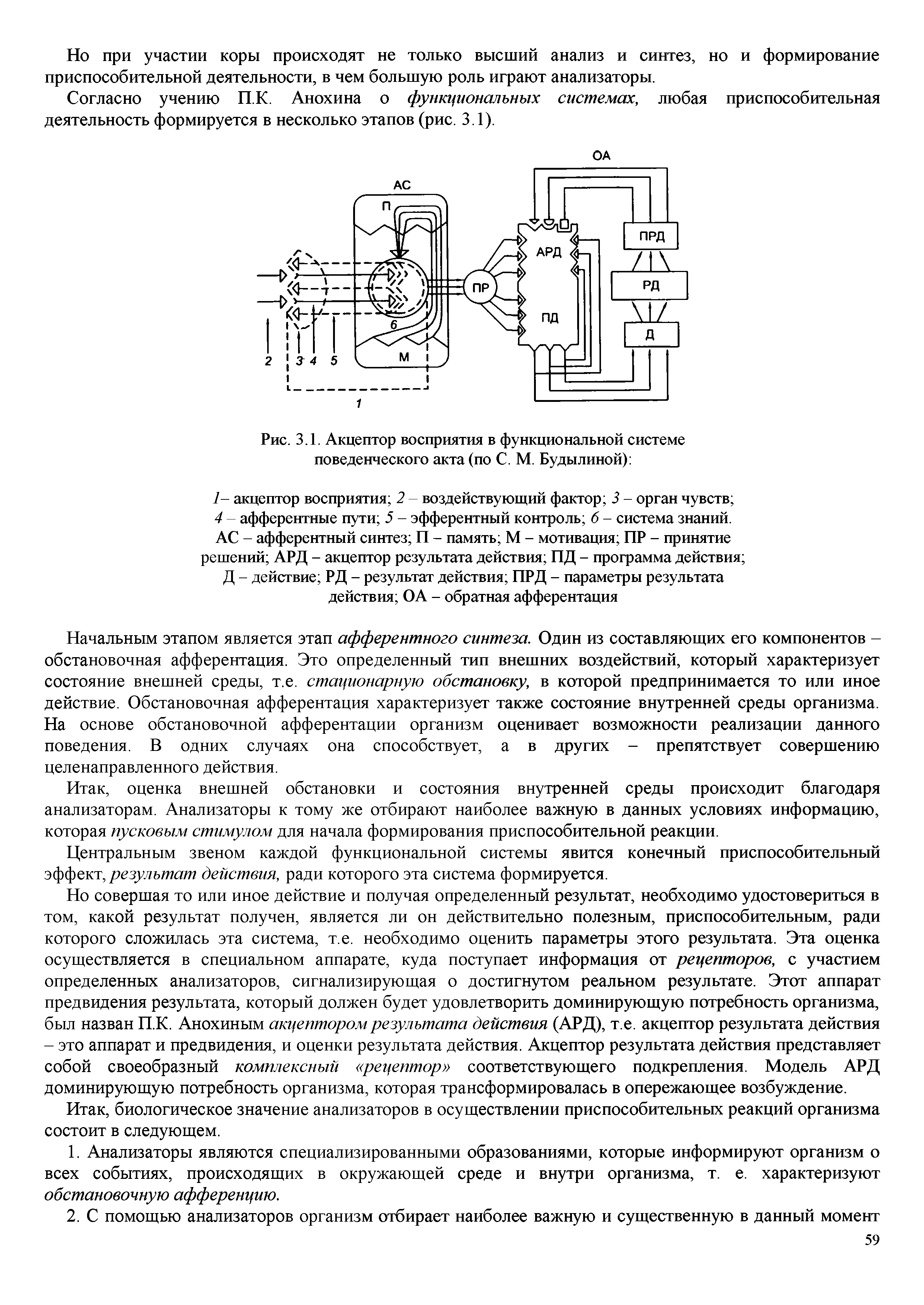 Рис. 3.1. Акцептор восприятия в функциональной системе поведенческого акта (по С. М. Будылиной) ...