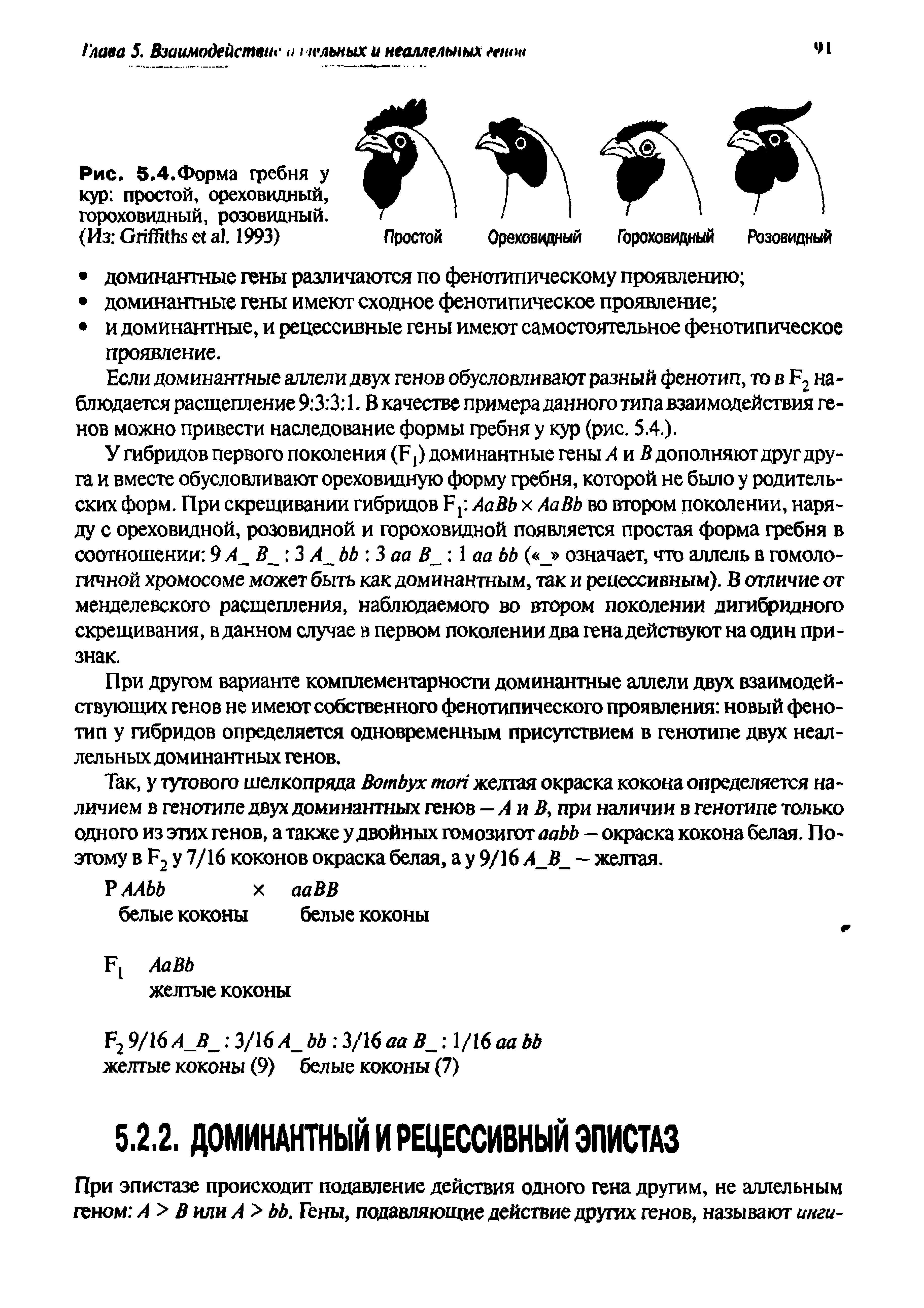 Рис. 5.4.Форма гребня у кур простой, ореховидный, гороховидный, розовидный. (Из G . 1993)...