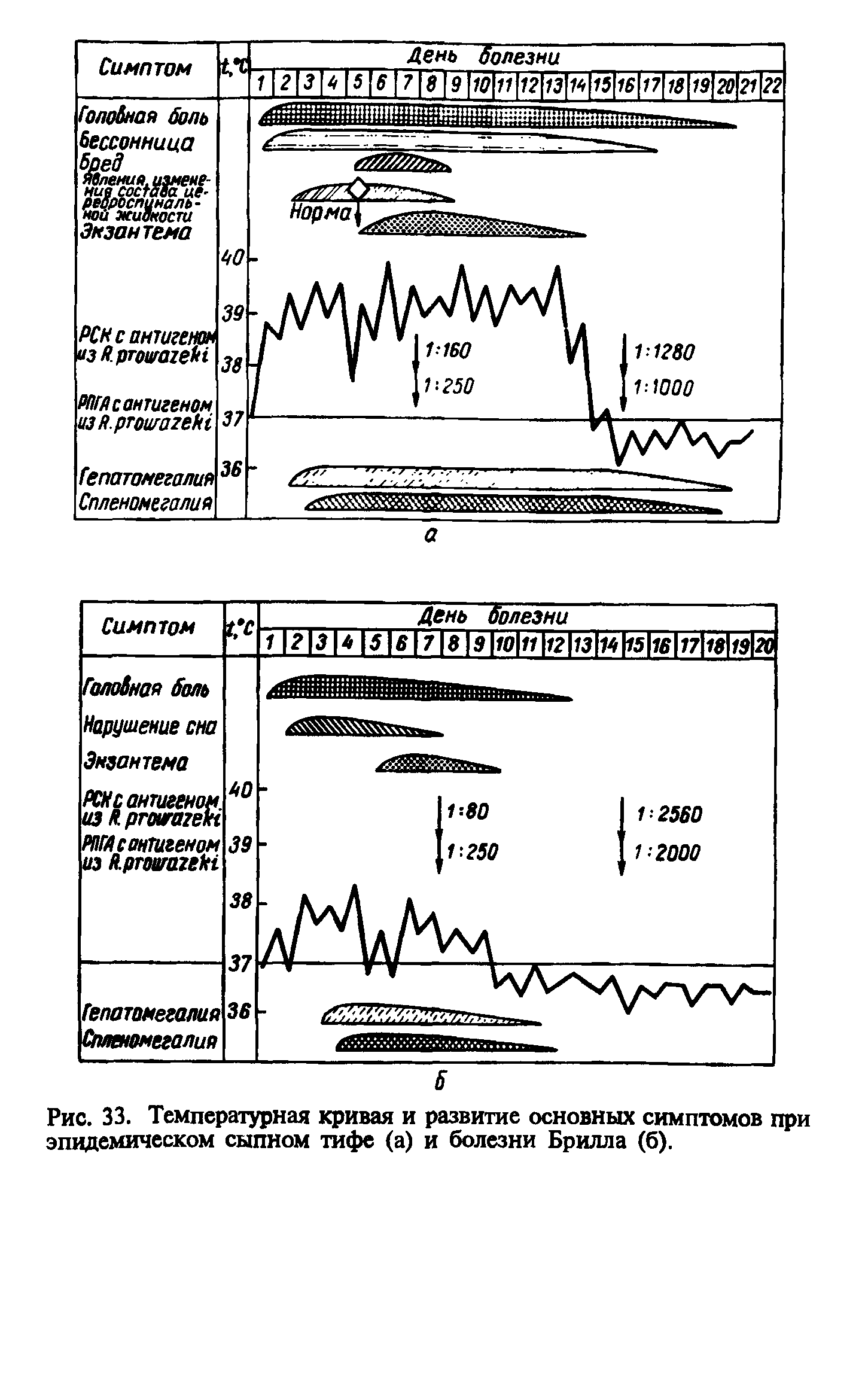Рис. 33. Температурная кривая и развитие основных симптомов при эпидемическом сыпном тифе (а) и болезни Брилла (б).