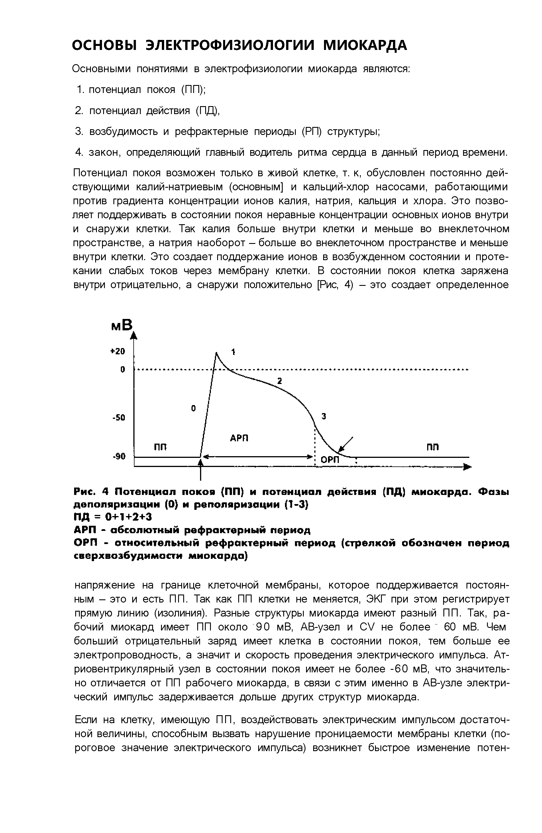 Рис. 4 Потенциал покоя (ПП) и потенциал действия (ПД) миокарда. Фазы деполяризации (О) и реполяризации (1-3)...