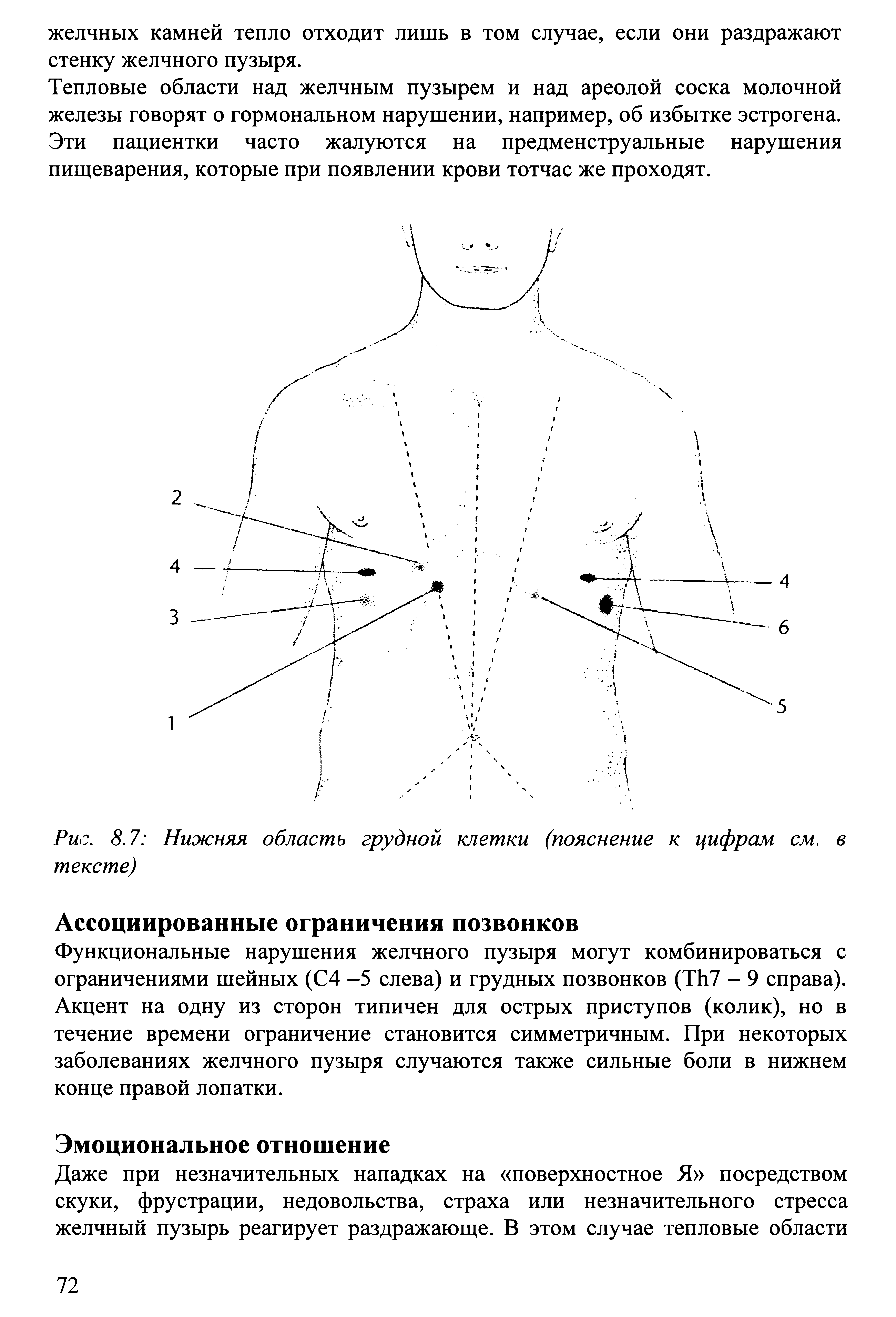 Рис. 8.7 Нижняя область грудной клетки (пояснение к цифрам см. в тексте)...