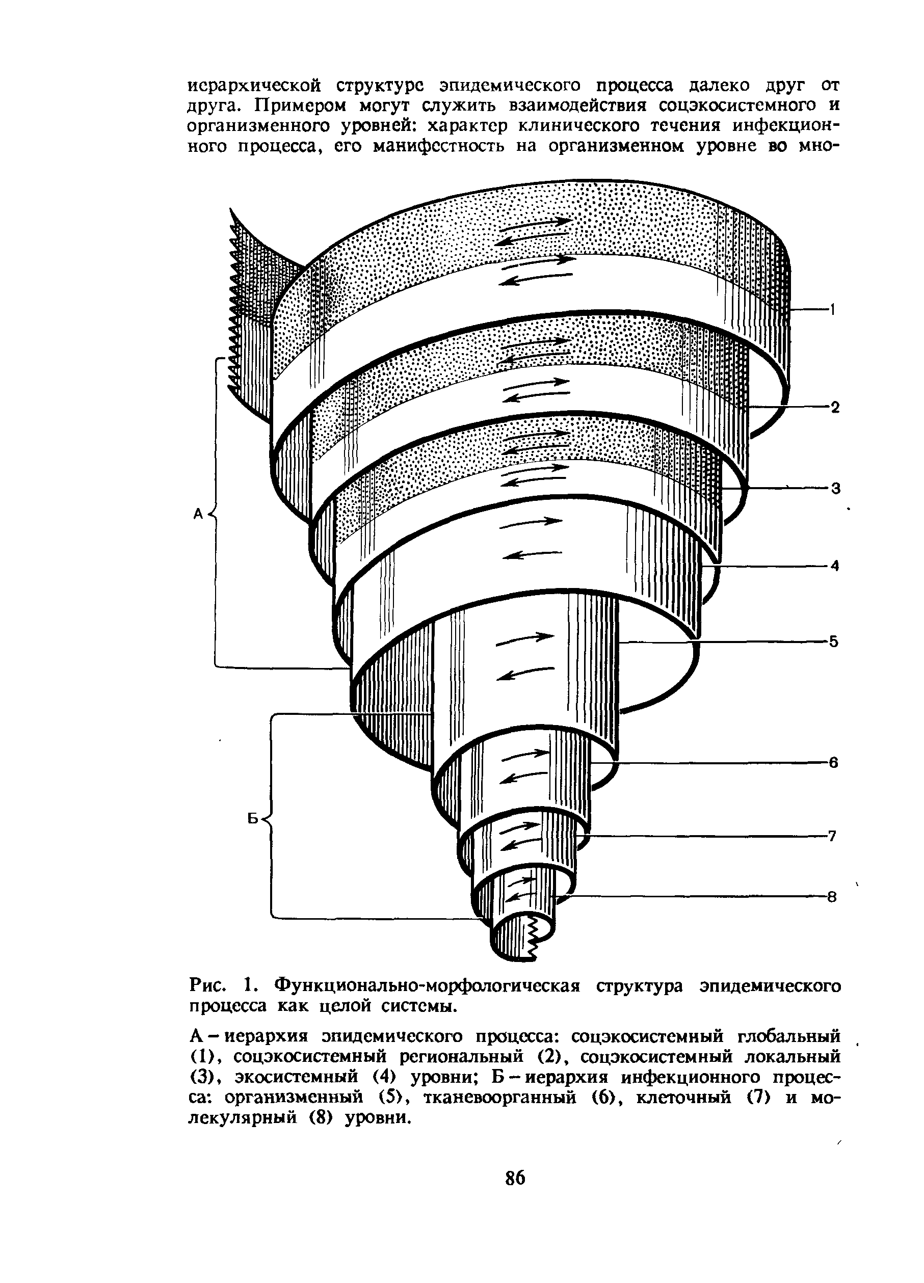 Рис. 1. Функционально-морфологическая структура эпидемического процесса как целой системы.