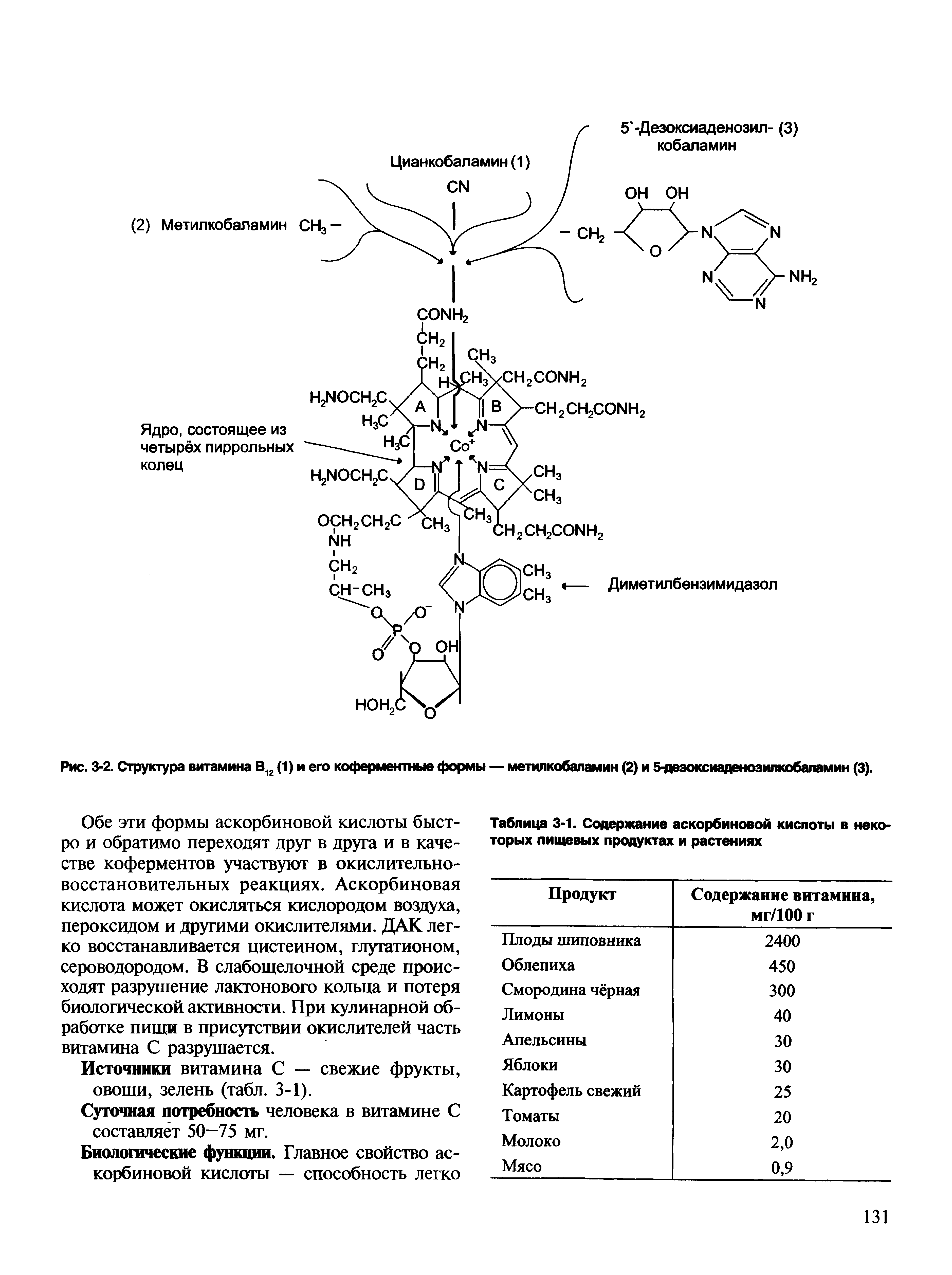 Рис. 3-2. Структура витамина В12 (1) и его коферментные формы — метилкобаламин (2) и 5-дезоксиаденозилкобаламин (3).
