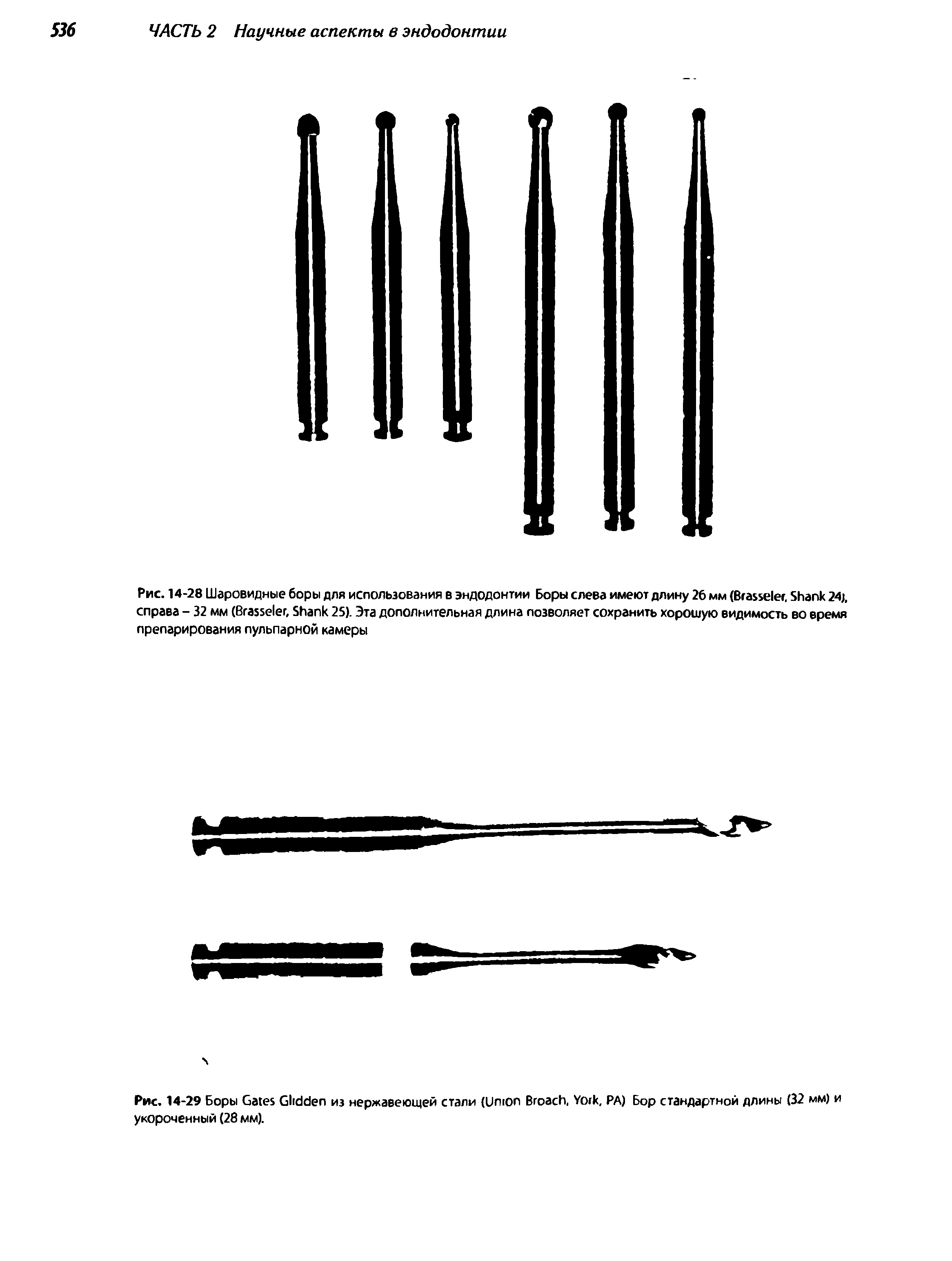 Рис. 14-28 Шаровидные боры для использования в эндодонтии Боры слева имеют длину 26 мм (B , S 24). справа - 32 мм (B , S 25). Эта дополнительная длина позволяет сохранить хорошую видимость во время препарирования пульпарной камеры...