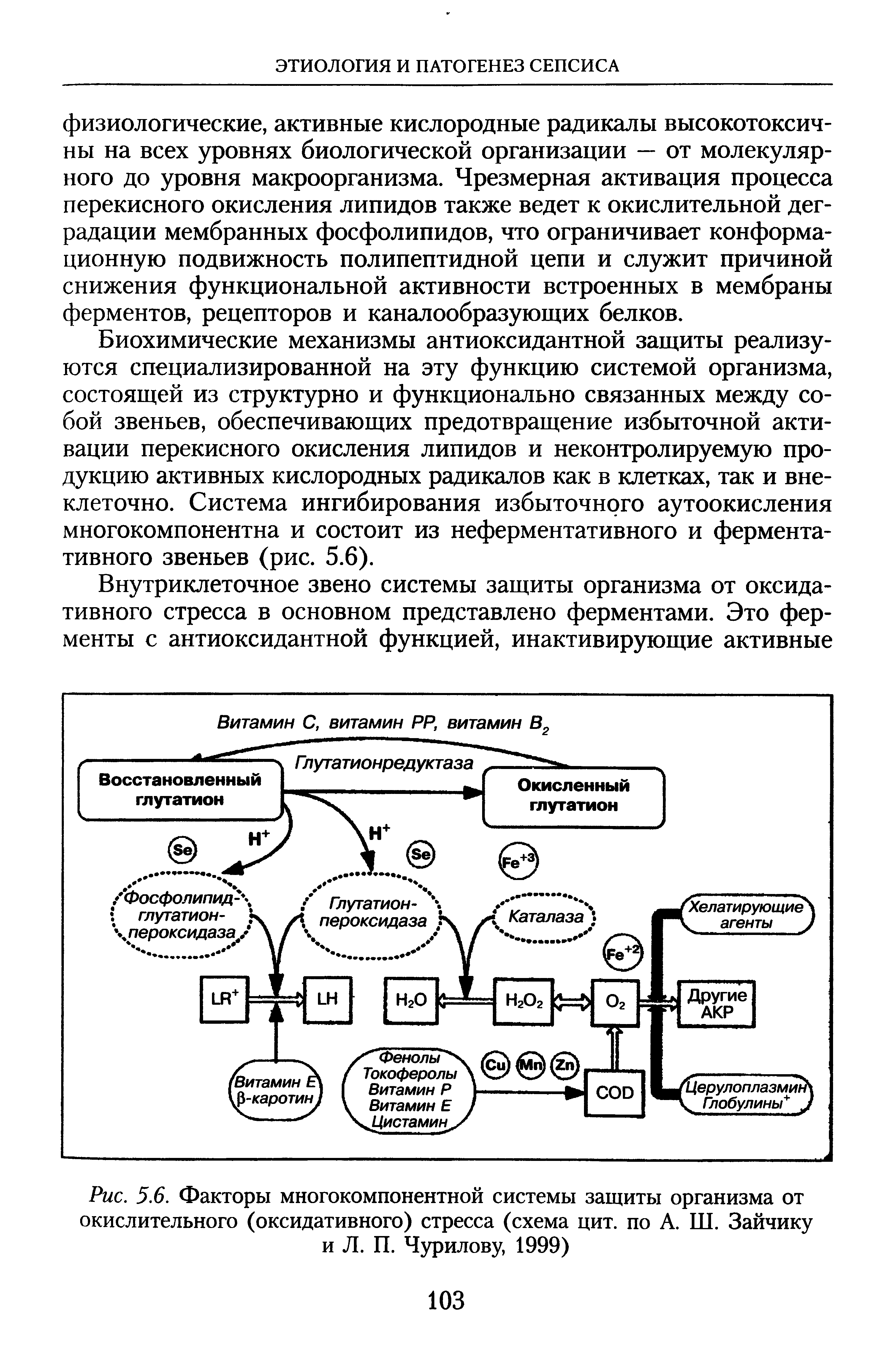 Рис. 5.6. Факторы многокомпонентной системы защиты организма от окислительного (оксидативного) стресса (схема цит. по А. Ш. Зайчику и Л. П. Чурилову, 1999)...