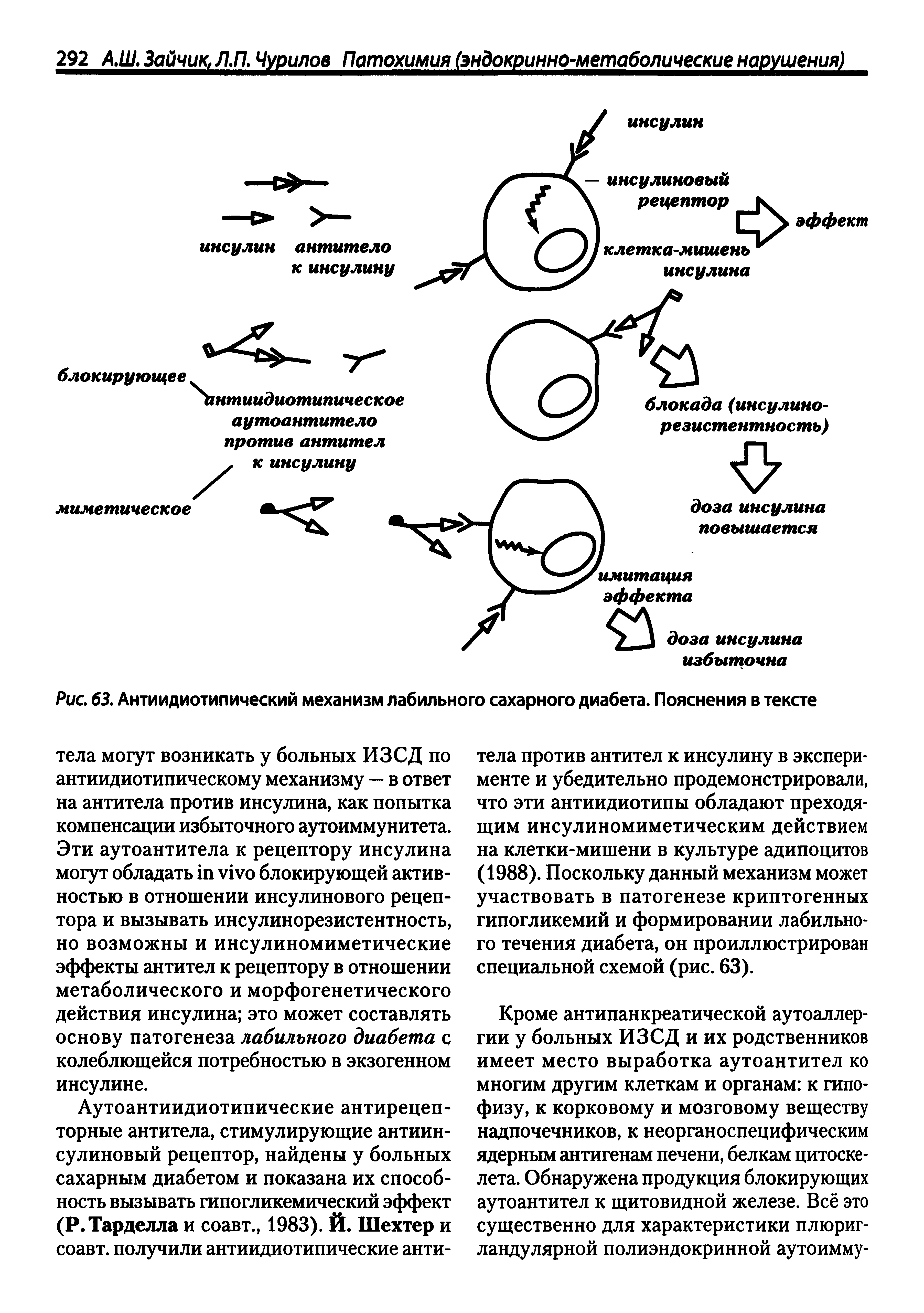 Рис. 63. Антиидиотипический механизм лабильного сахарного диабета. Пояснения в тексте...