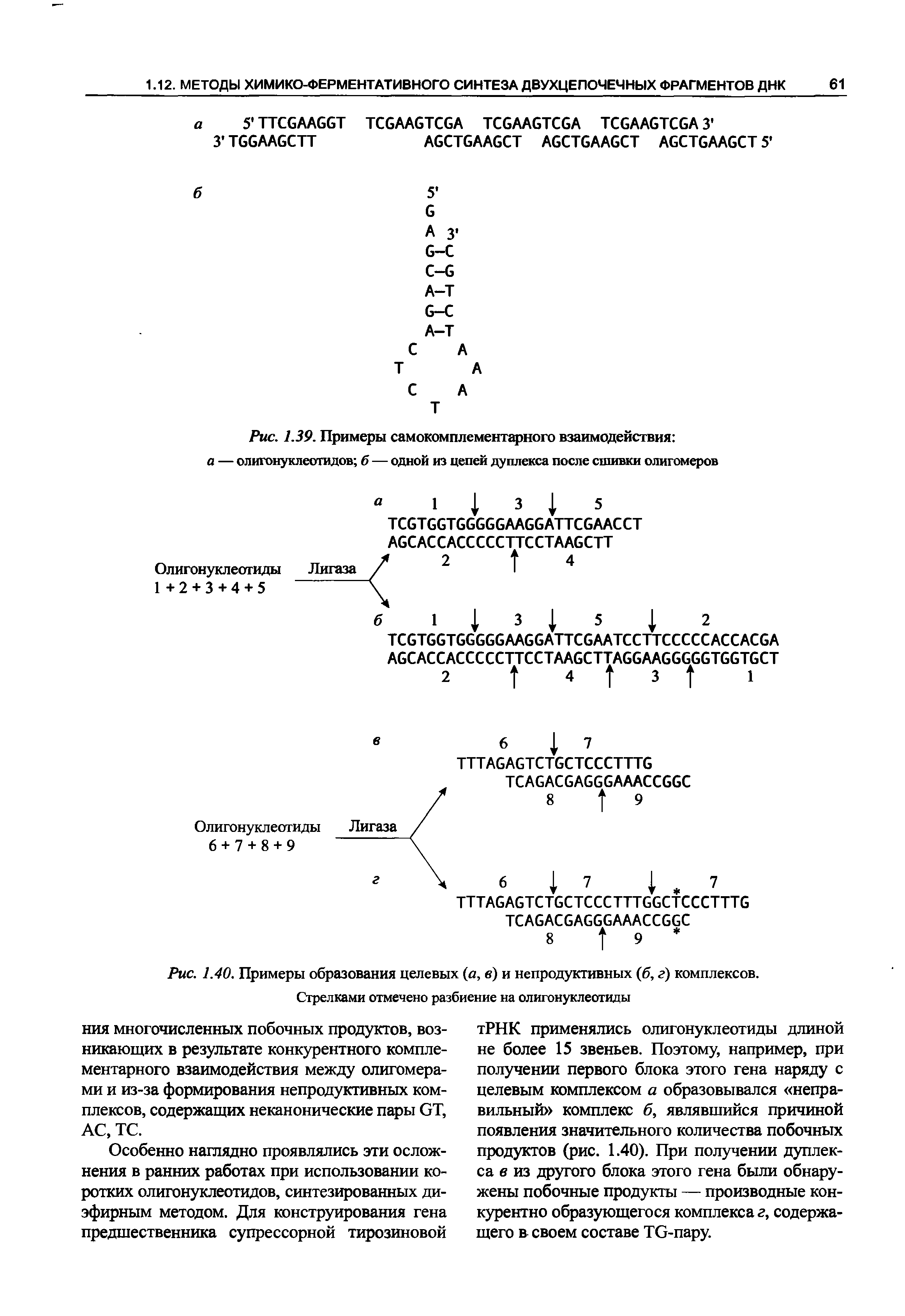 Рис. 1.40. Примеры образования целевых (а, в) и непродуктивных (б, г) комплексов. Стрелками отмечено разбиение на олигонуклеотиды...