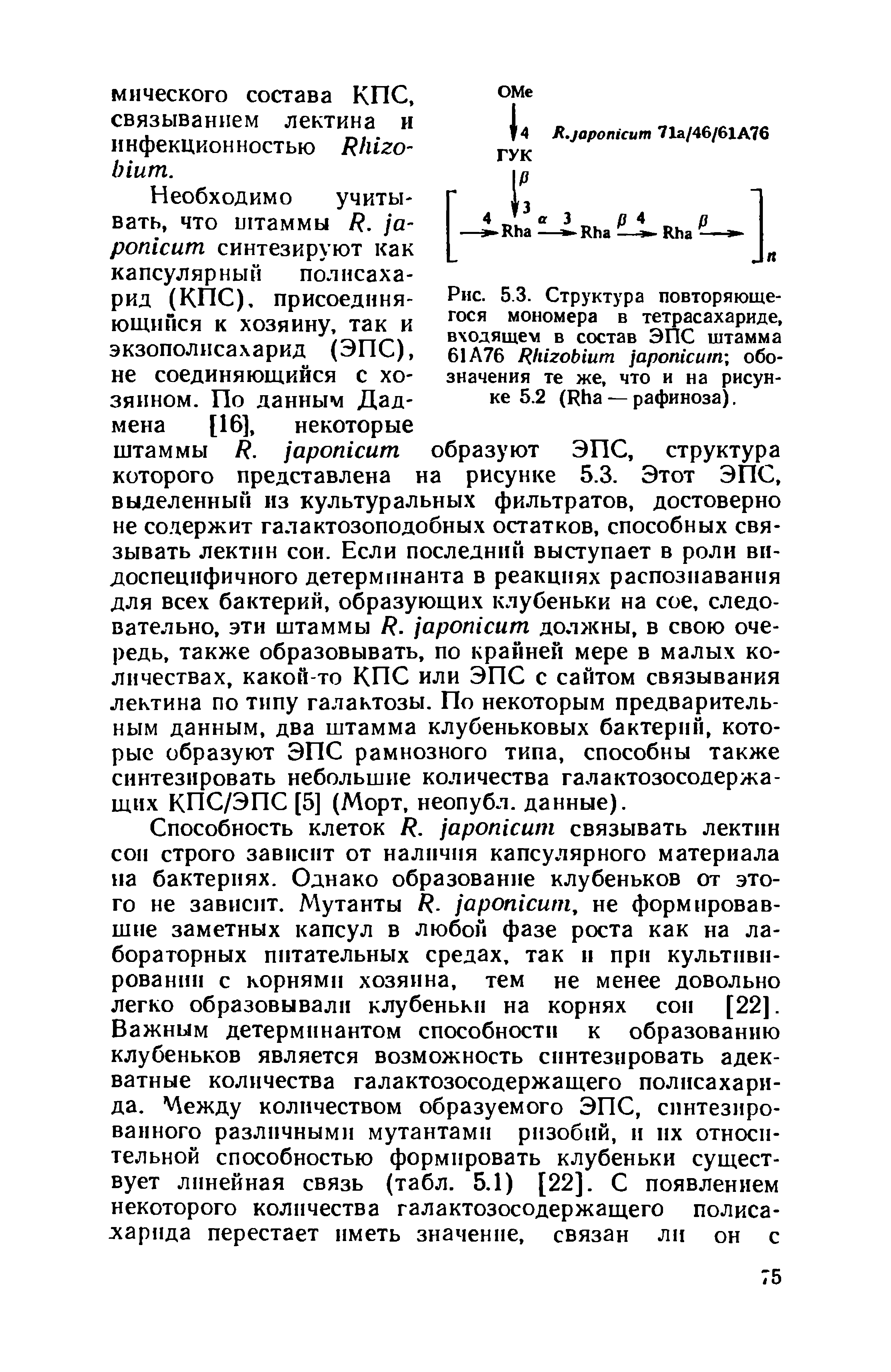 Рис. 5.3. Структура повторяющегося мономера в тетрасахариде, входящем в состав ЭПС штамма 61А76 ЯЫгоЫит арогисит обозначения те же, что и на рисунке 5.2 (РЬа — рафиноза).